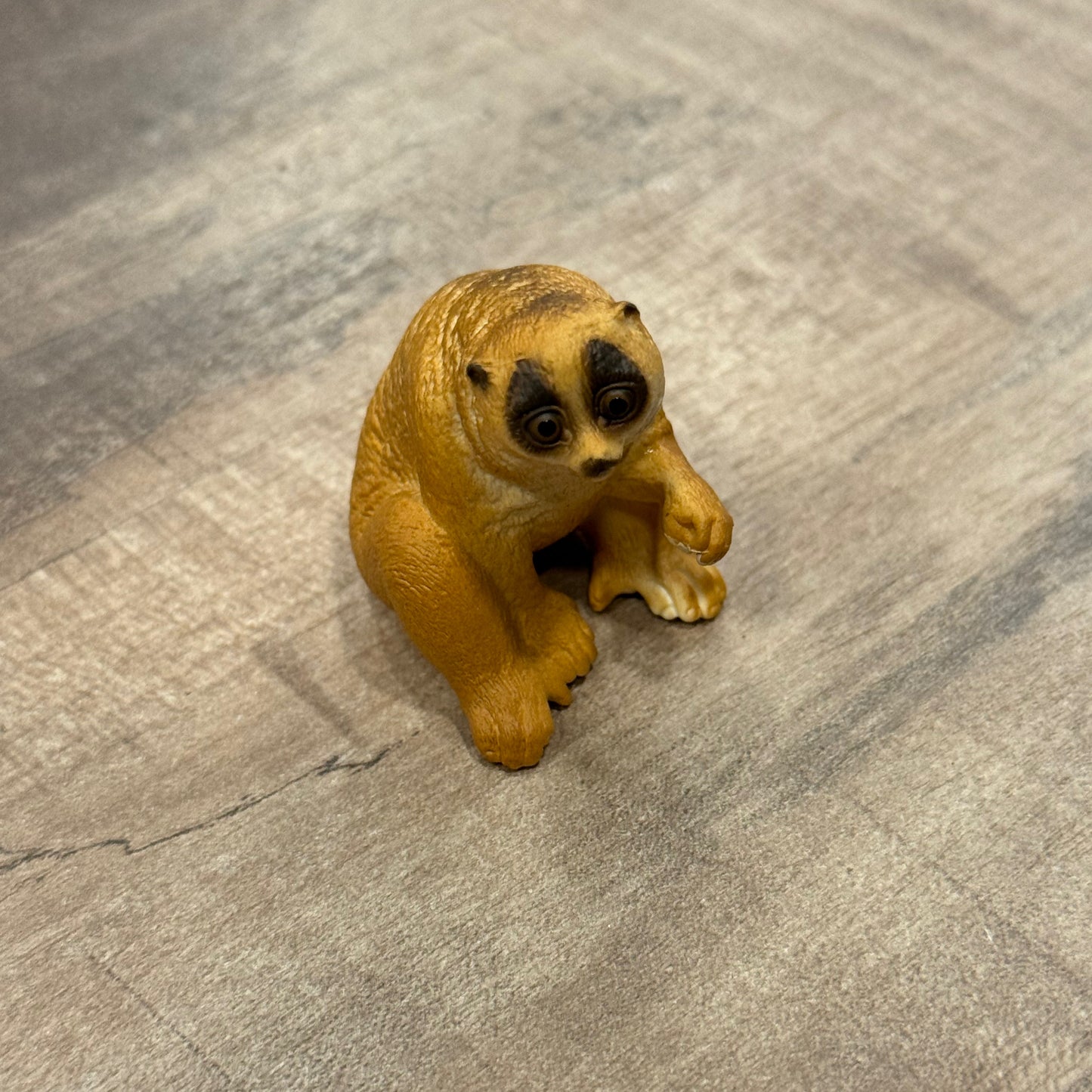 Schleich Wild Plumplori