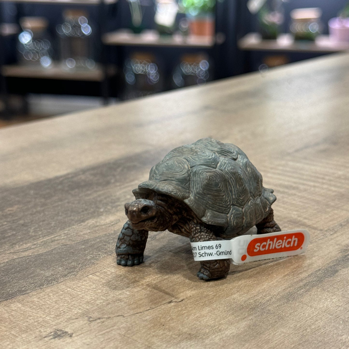 Schleich Wild Riesen Schildkröte