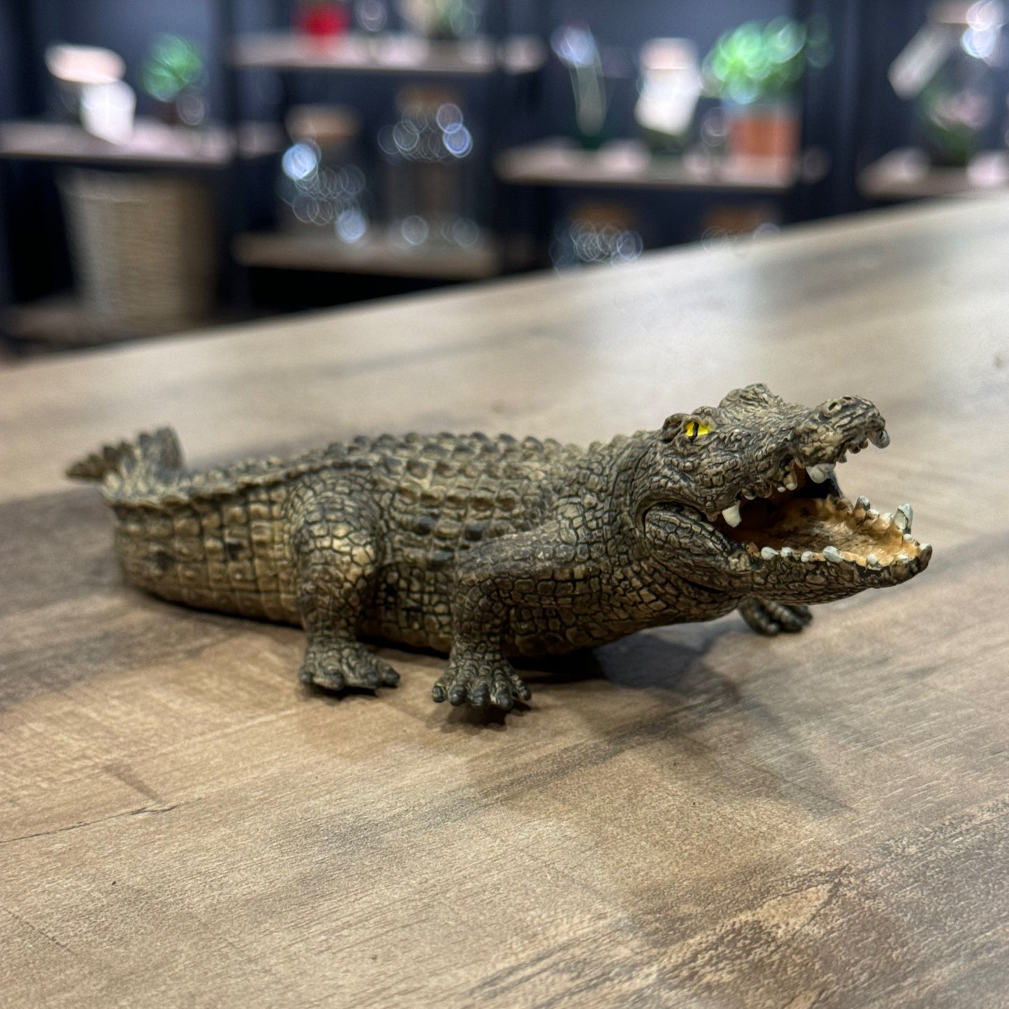 Schleich Wild Krokodil