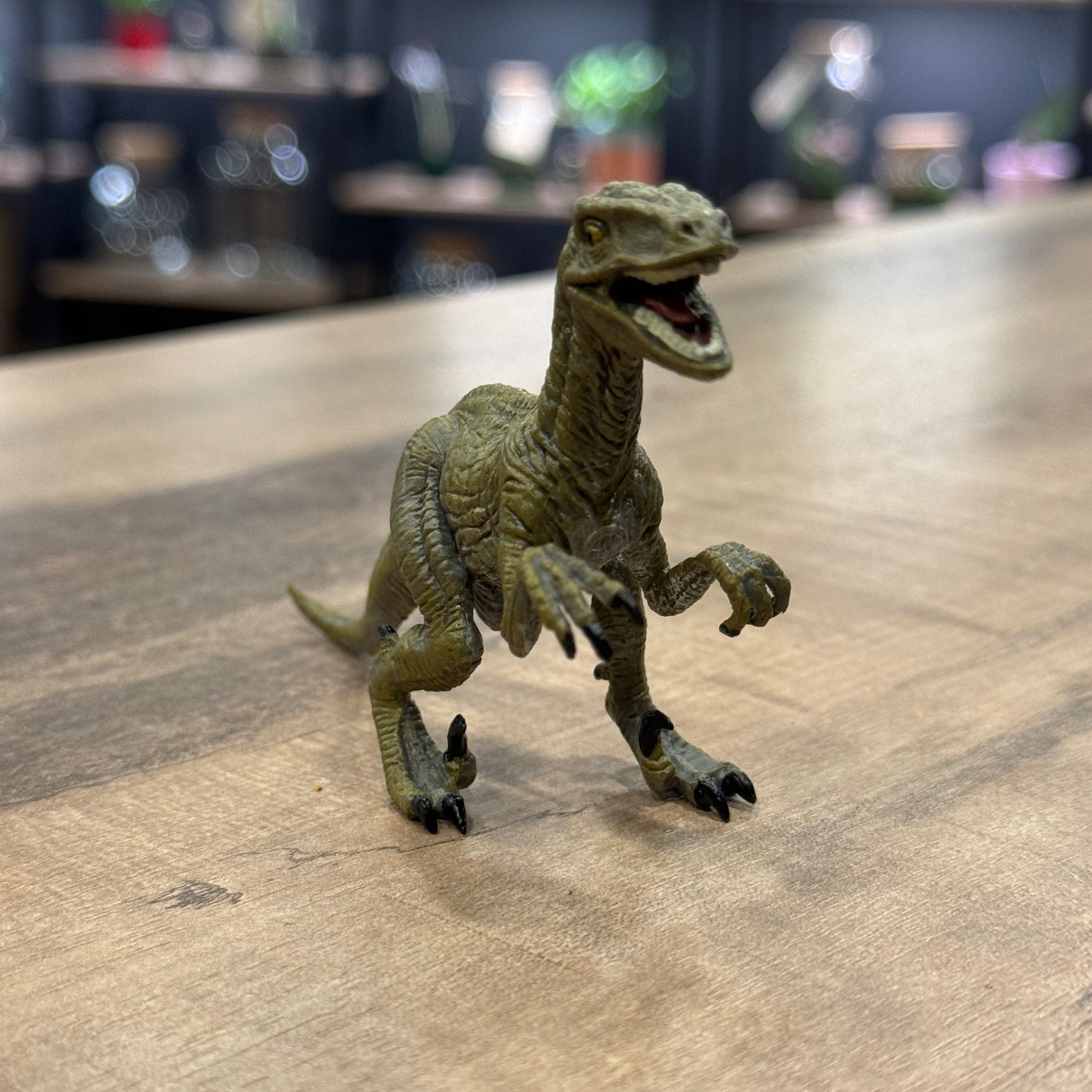 CollectA Velociraptor