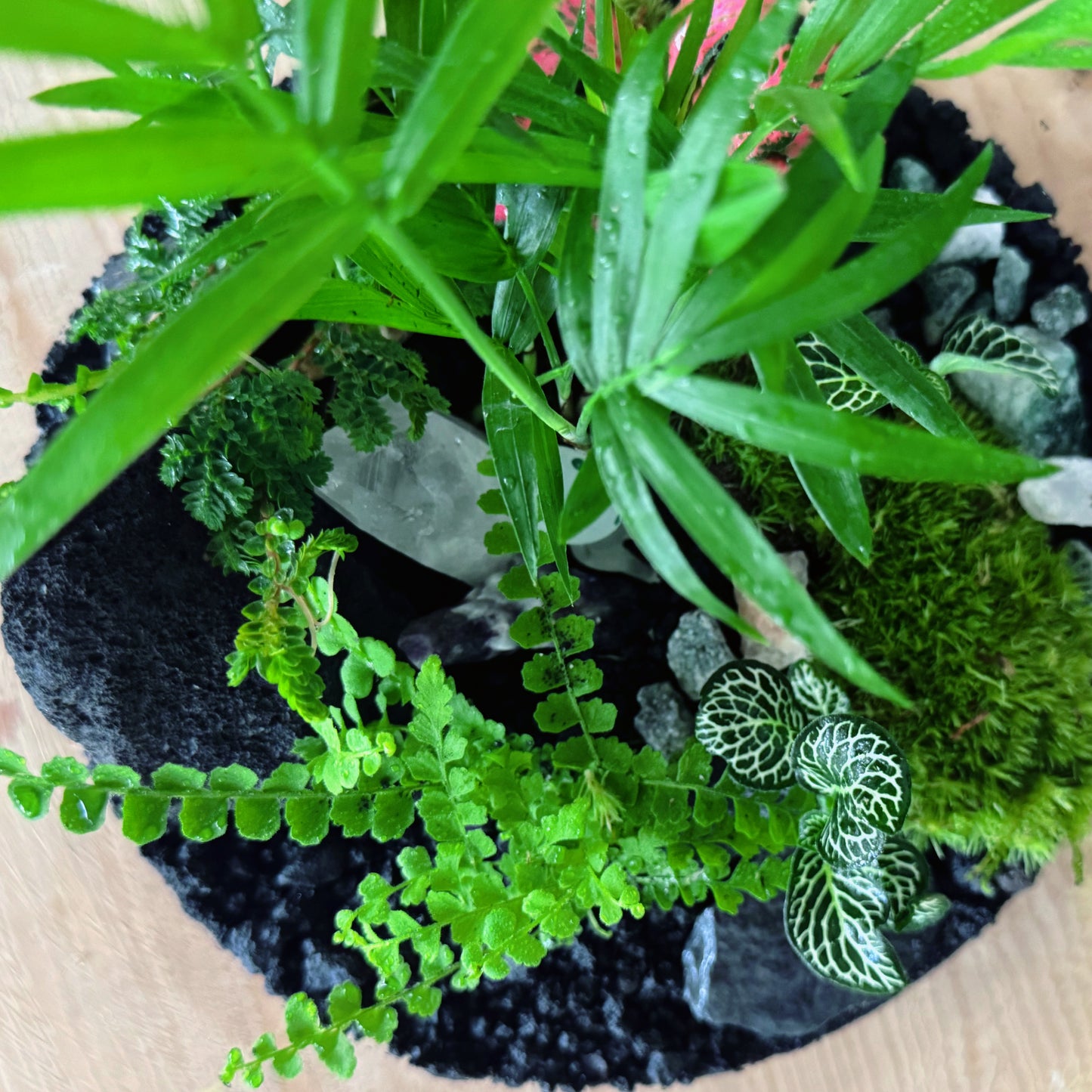 Füllung für einen Adventskalender (ohne Verpackung)