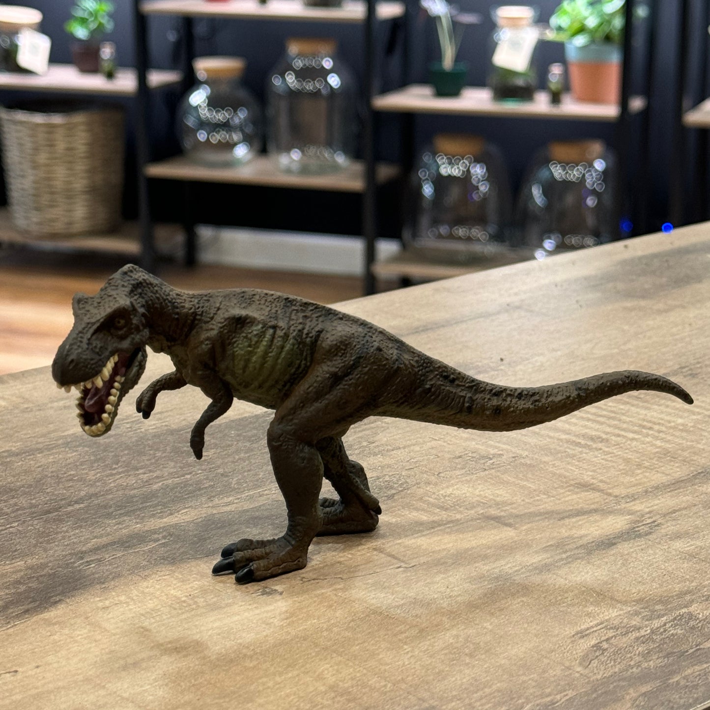 CollectA Tyrannosaurus Rex (braun)