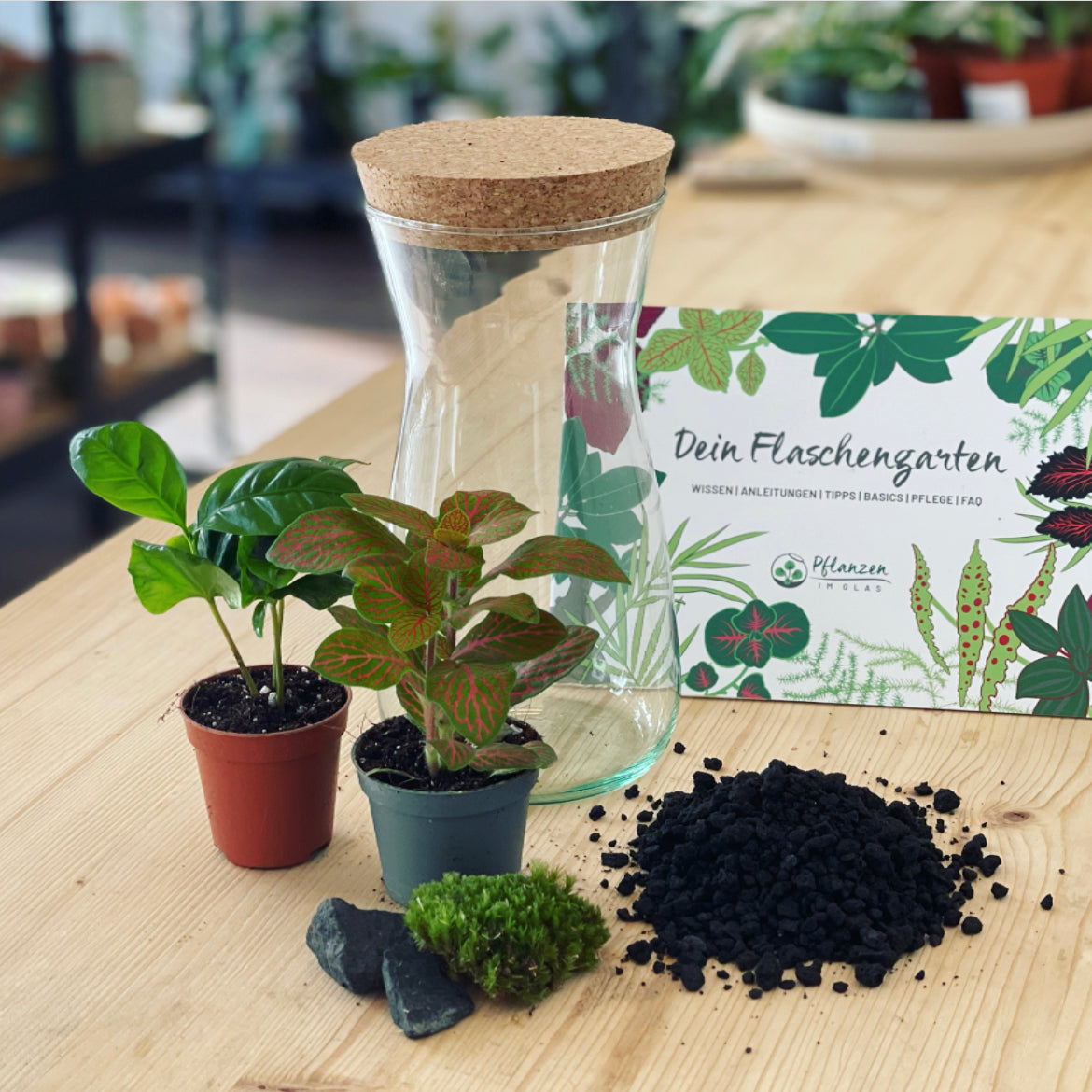 Flaschengarten ‚Mini Coffea‘-DIY-Set