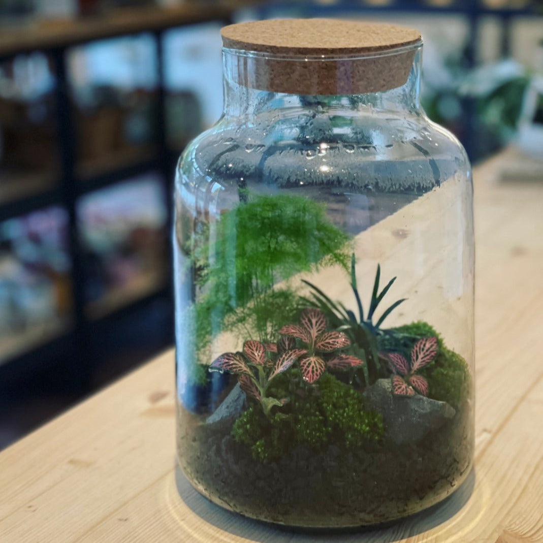 Flaschengarten ‚Forest‘-DIY-Set