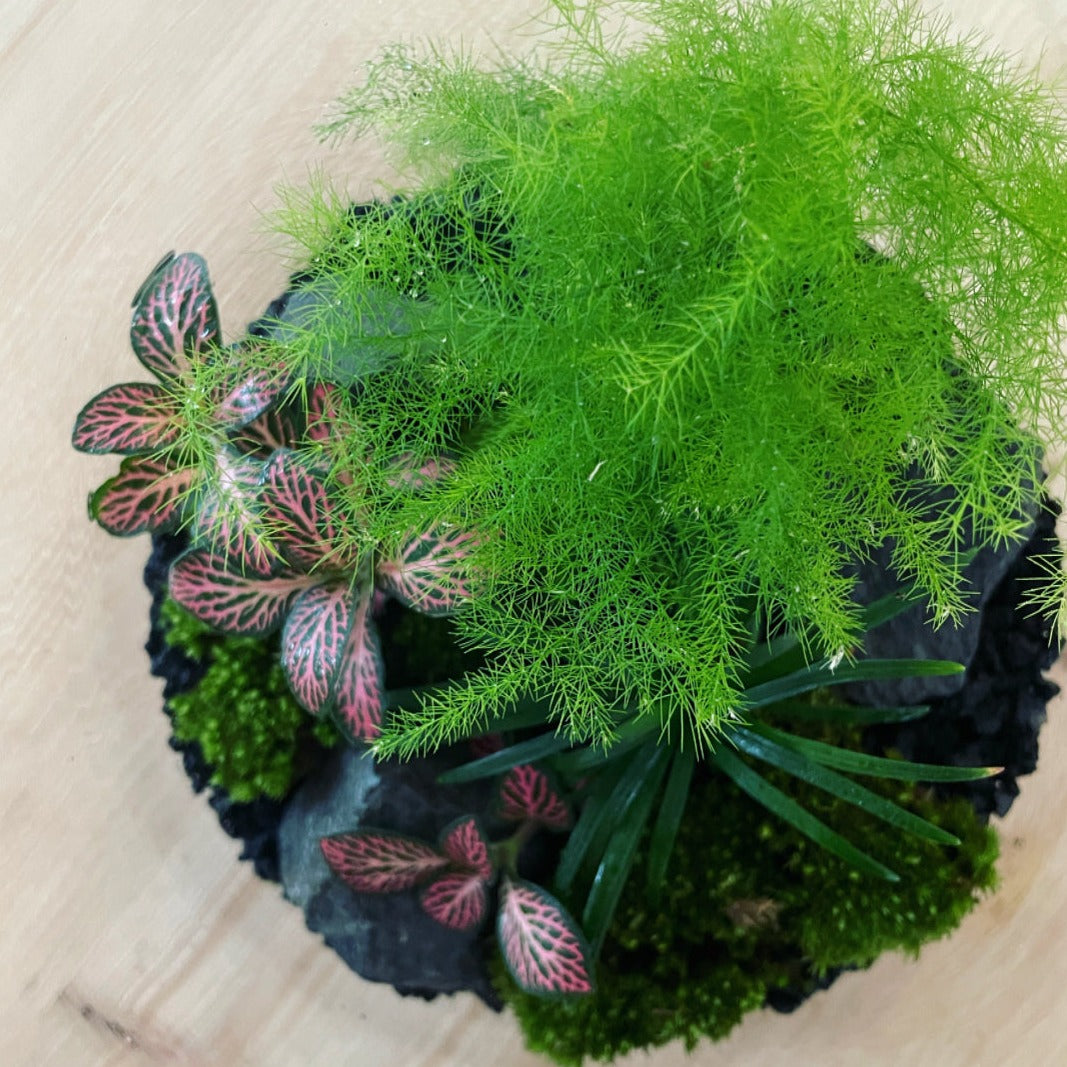 Flaschengarten ‚Forest‘-DIY-Set