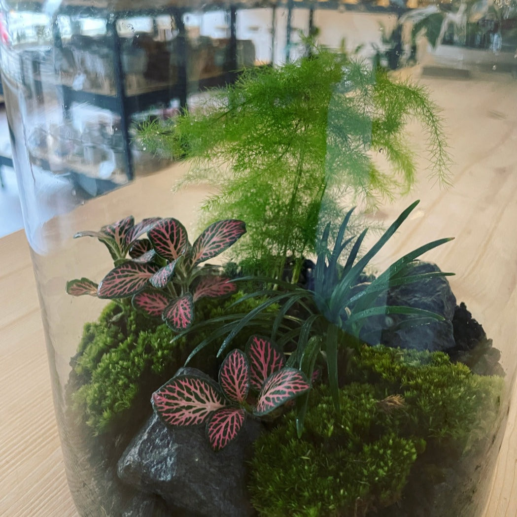 Flaschengarten ‚Forest‘-DIY-Set