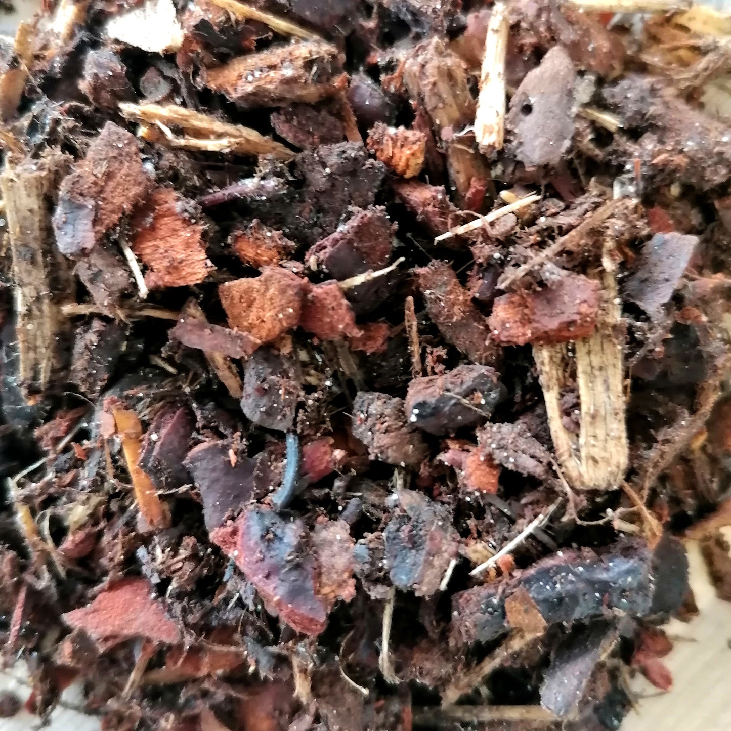 Anthurium Substrat | Flamingoblume | organisch | 250g