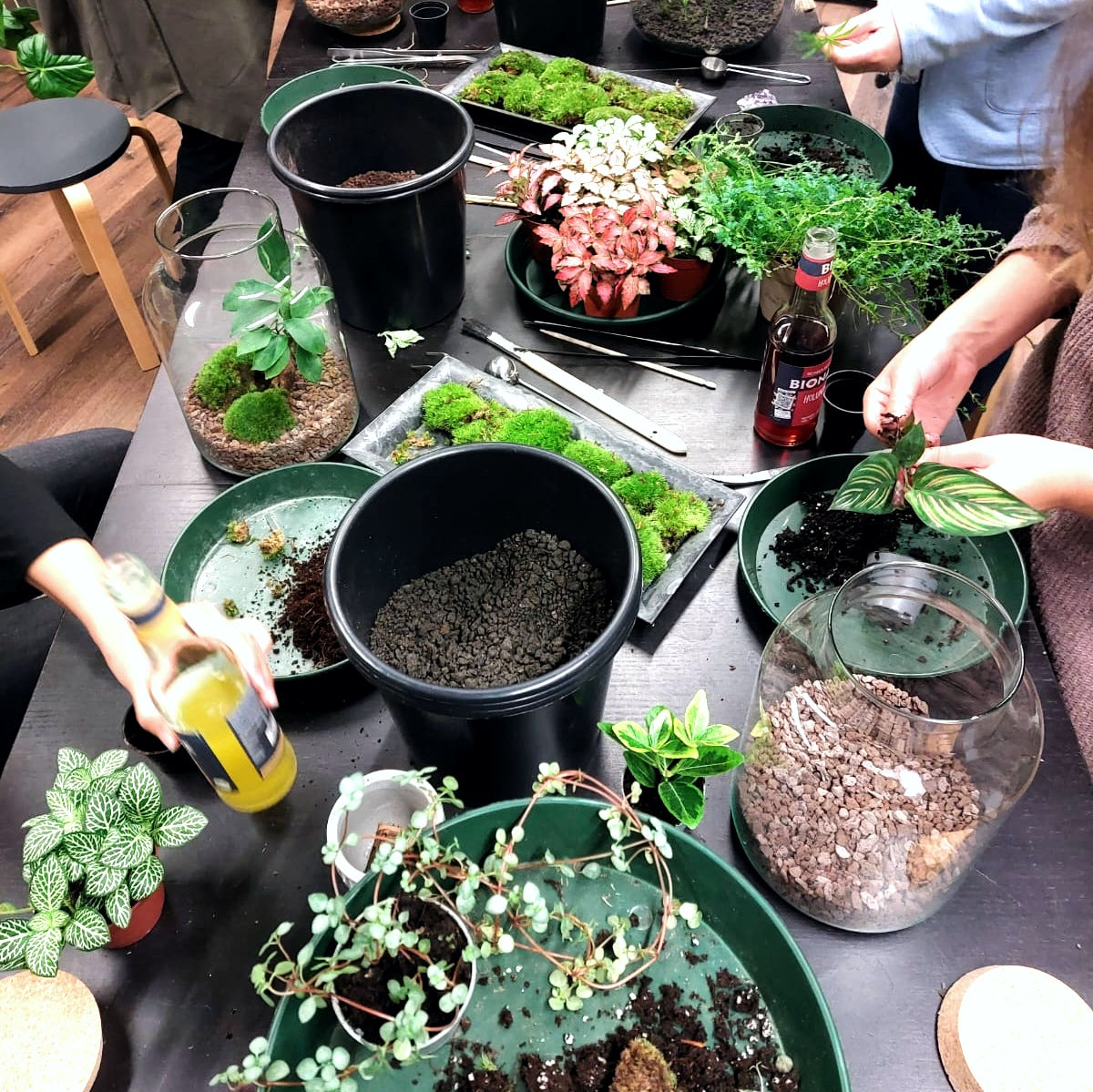 Flaschengarten Workshop in Hamburg