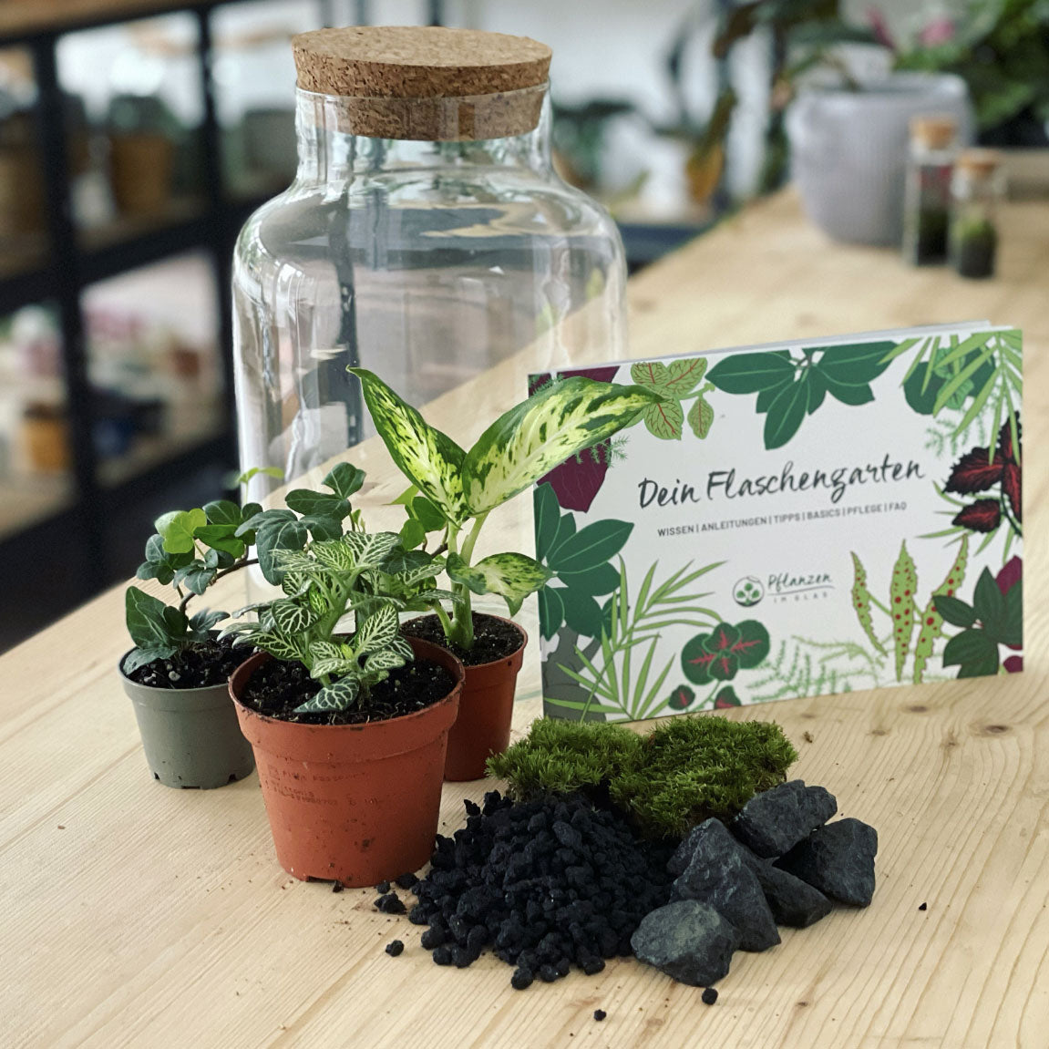 Flaschengarten ‚Basic - Dieffenbachia‘ - DIY-Set