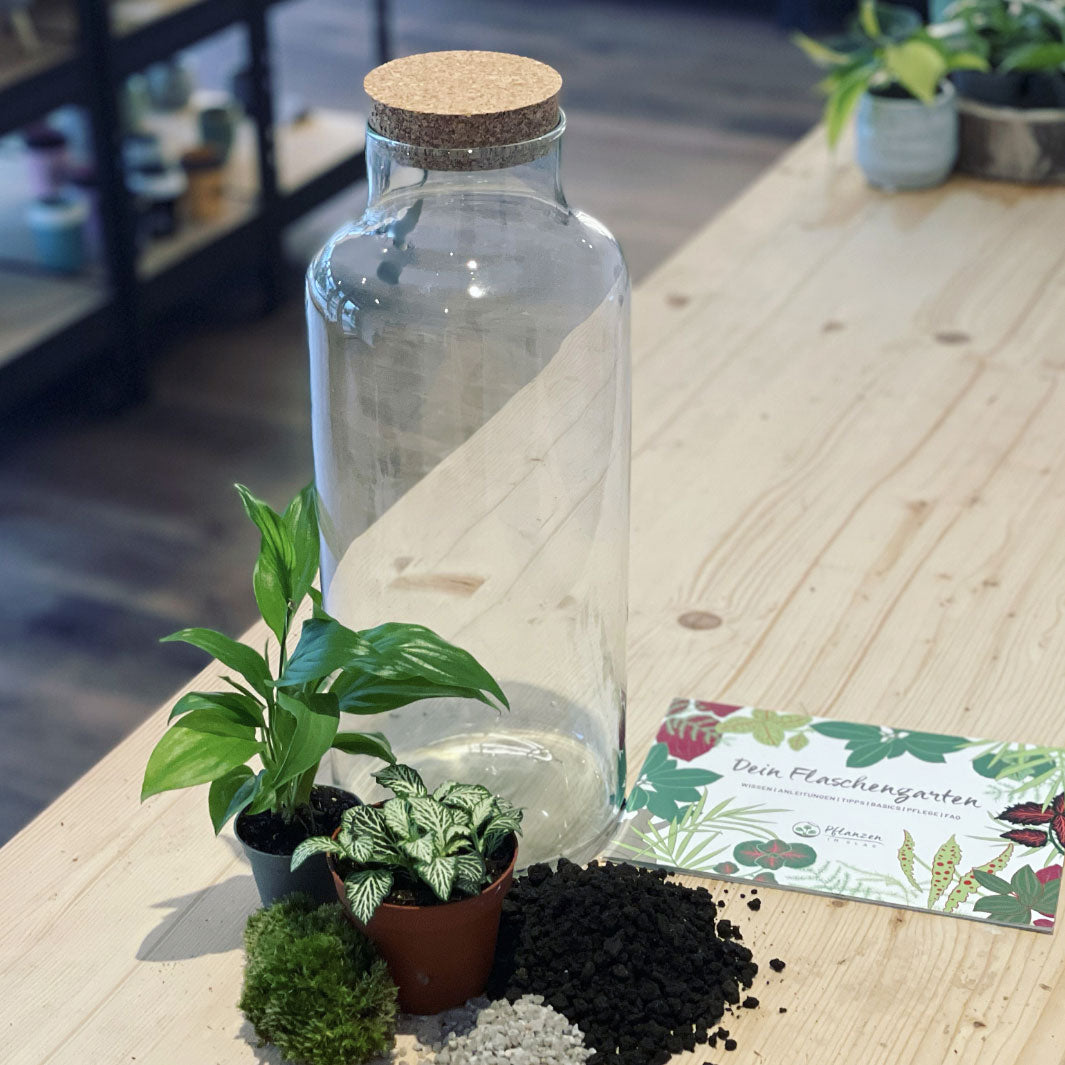 Flaschengarten ‚Einblatt‘ - DIY-Set