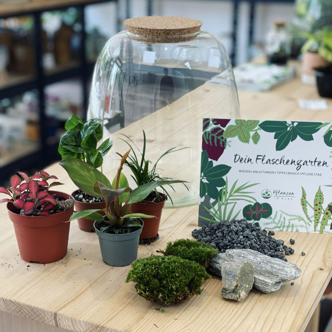 Flaschengarten ‚Großer Urwald - Prince of Orange‘ - DIY-Set