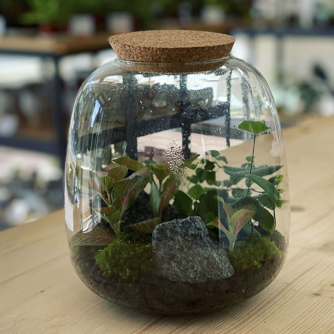 Flaschengarten ‚Kleiner Urwald - Herzfarn‘ - DIY-Set