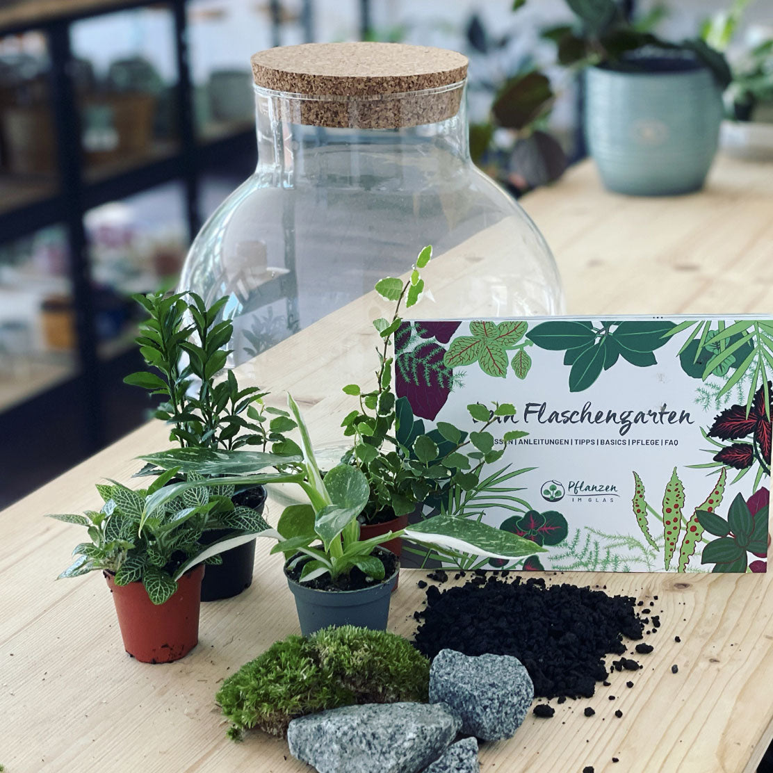 Flaschengarten ‚Plant Bowl Big - White Wizard‘ - DIY-Set