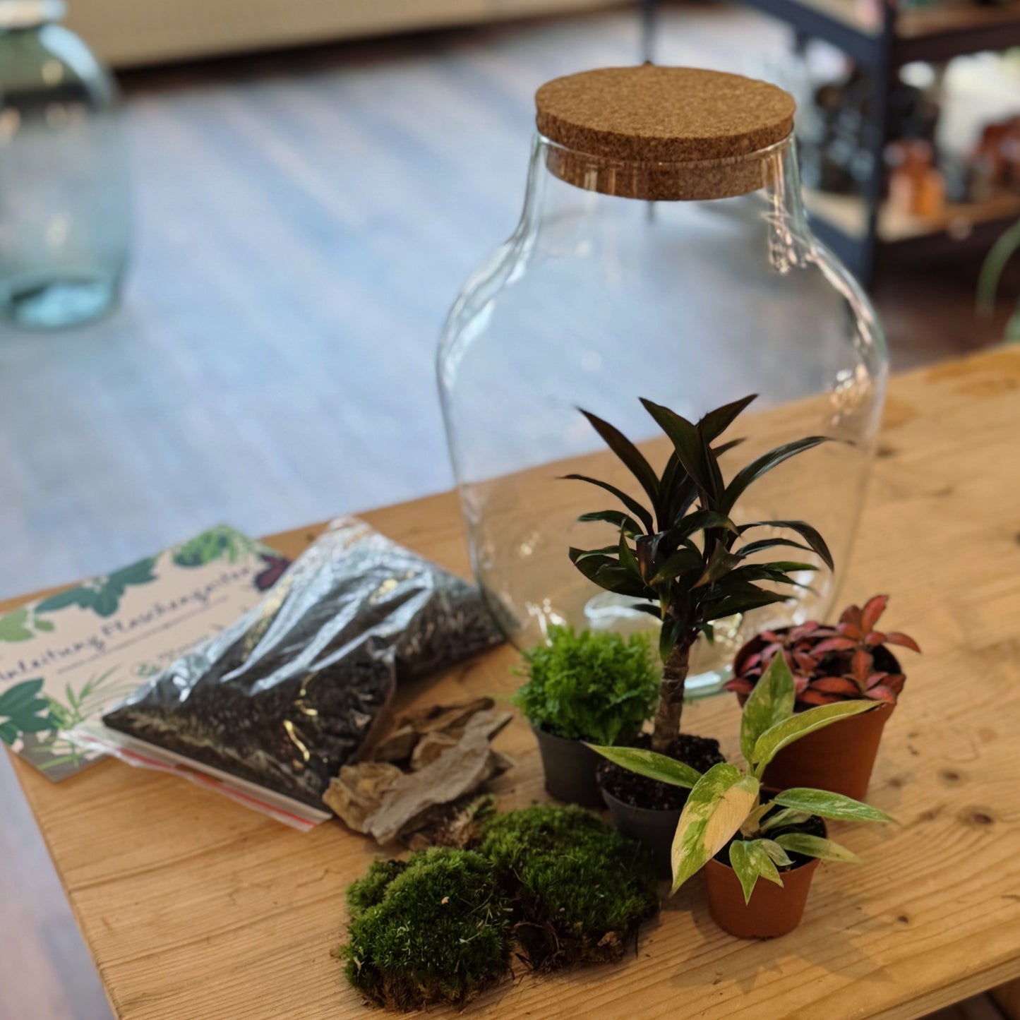 Flaschengarten DIY Set No82 - Philodendron 'RIng of FIre' x Cordyline fruticosa x Nephrolepis exaltata x Fittonia 'Forest Flame'