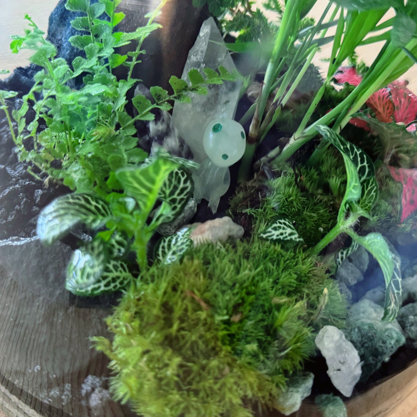 Füllung für einen Adventskalender (ohne Verpackung)