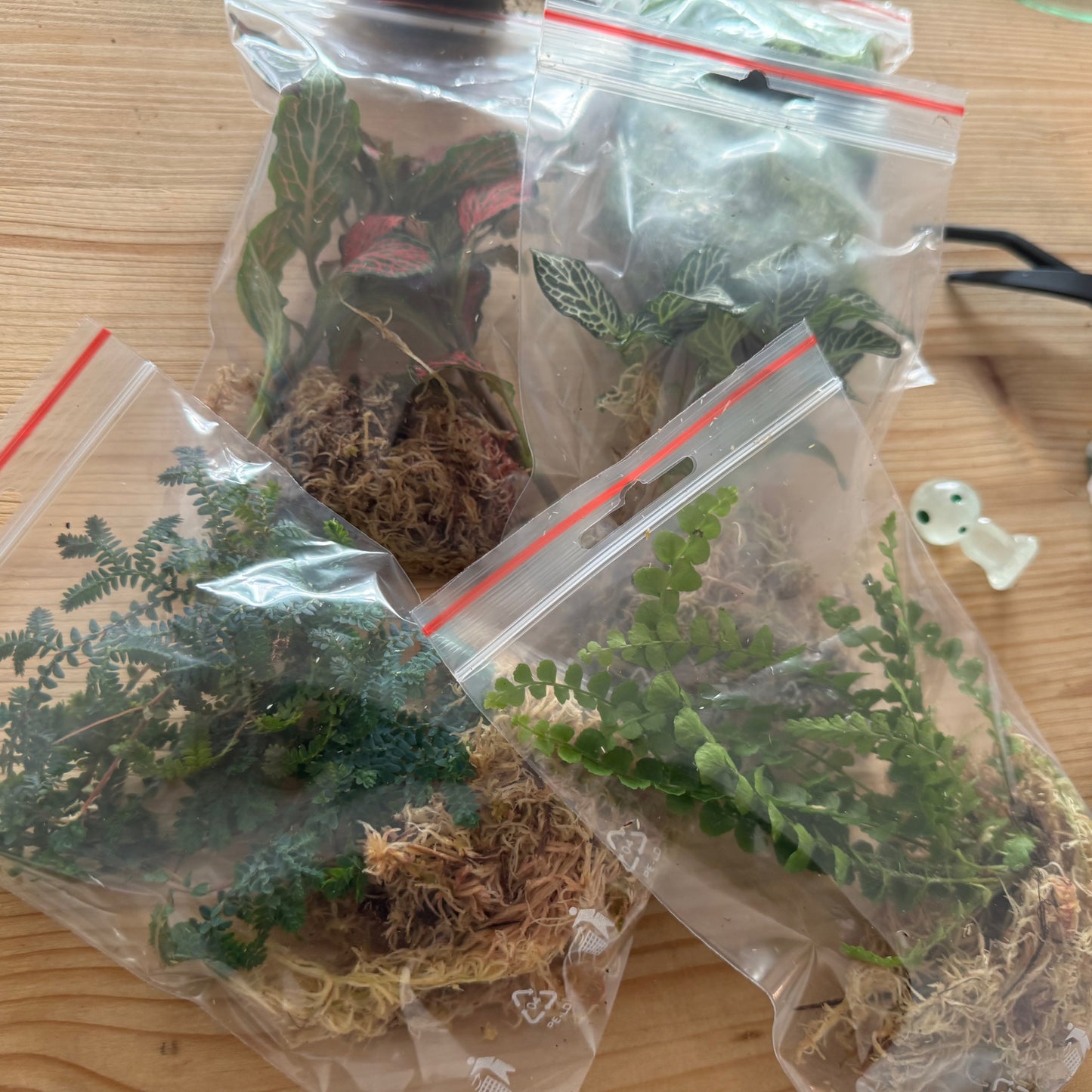 Füllung für einen Adventskalender (ohne Verpackung)