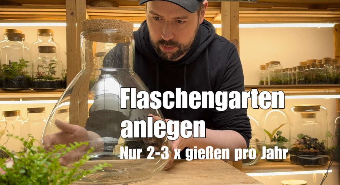 Video laden: 