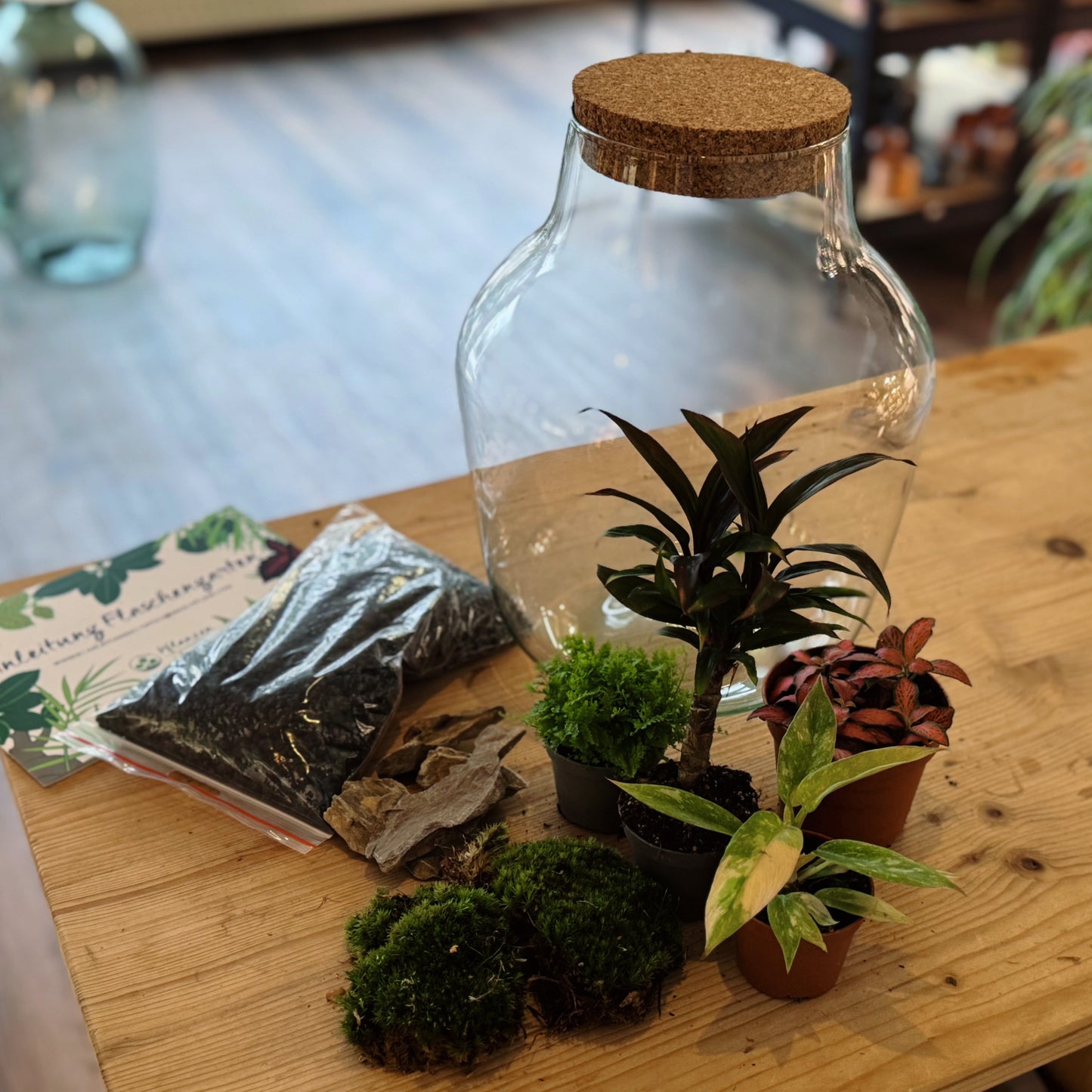 Flaschengarten DIY Set No82 - Philodendron 'RIng of FIre' x Cordyline fruticosa x Nephrolepis exaltata x Fittonia 'Forest Flame'