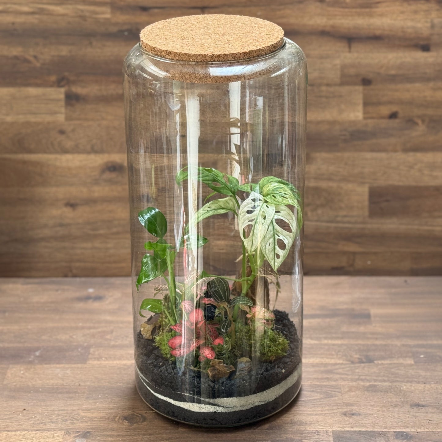 Flaschengarten DIY Set No110 -  Monstera adansonii 'Variegata' x  Ludisia discolor x Dieffenbachia x Fittonia