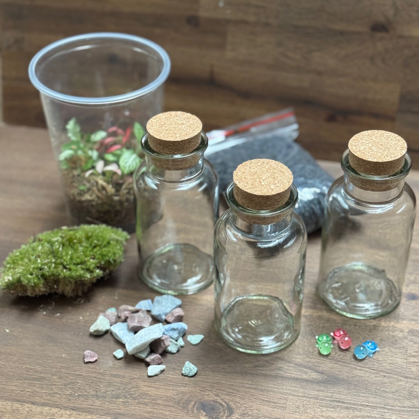 Flaschengarten DIY Set No107 Mini Trio