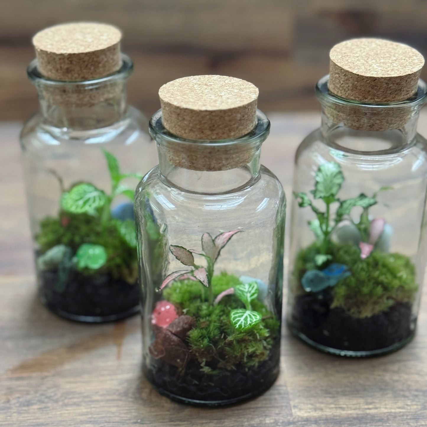 Flaschengarten DIY Set No107 Mini Trio