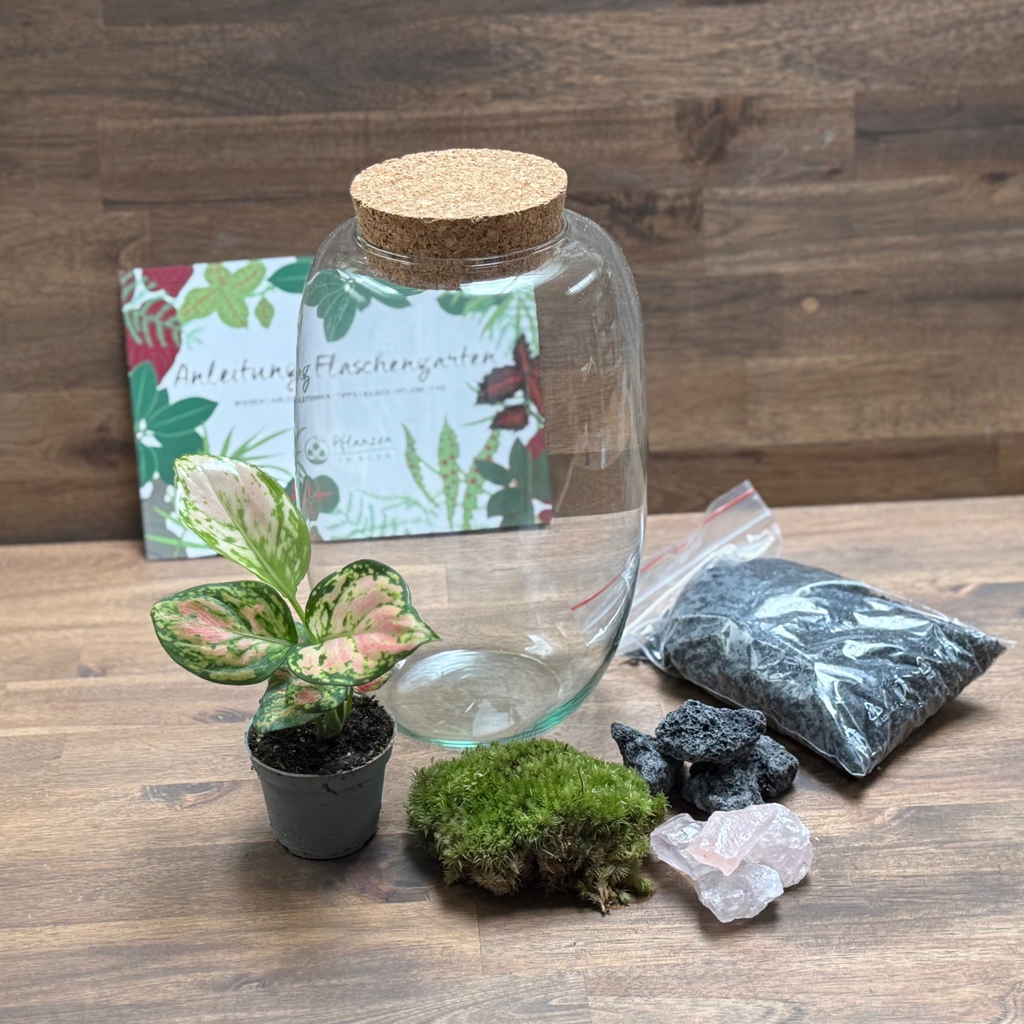 Flaschengarten DIY Set No108 - Aglaonema x Rosenquarz