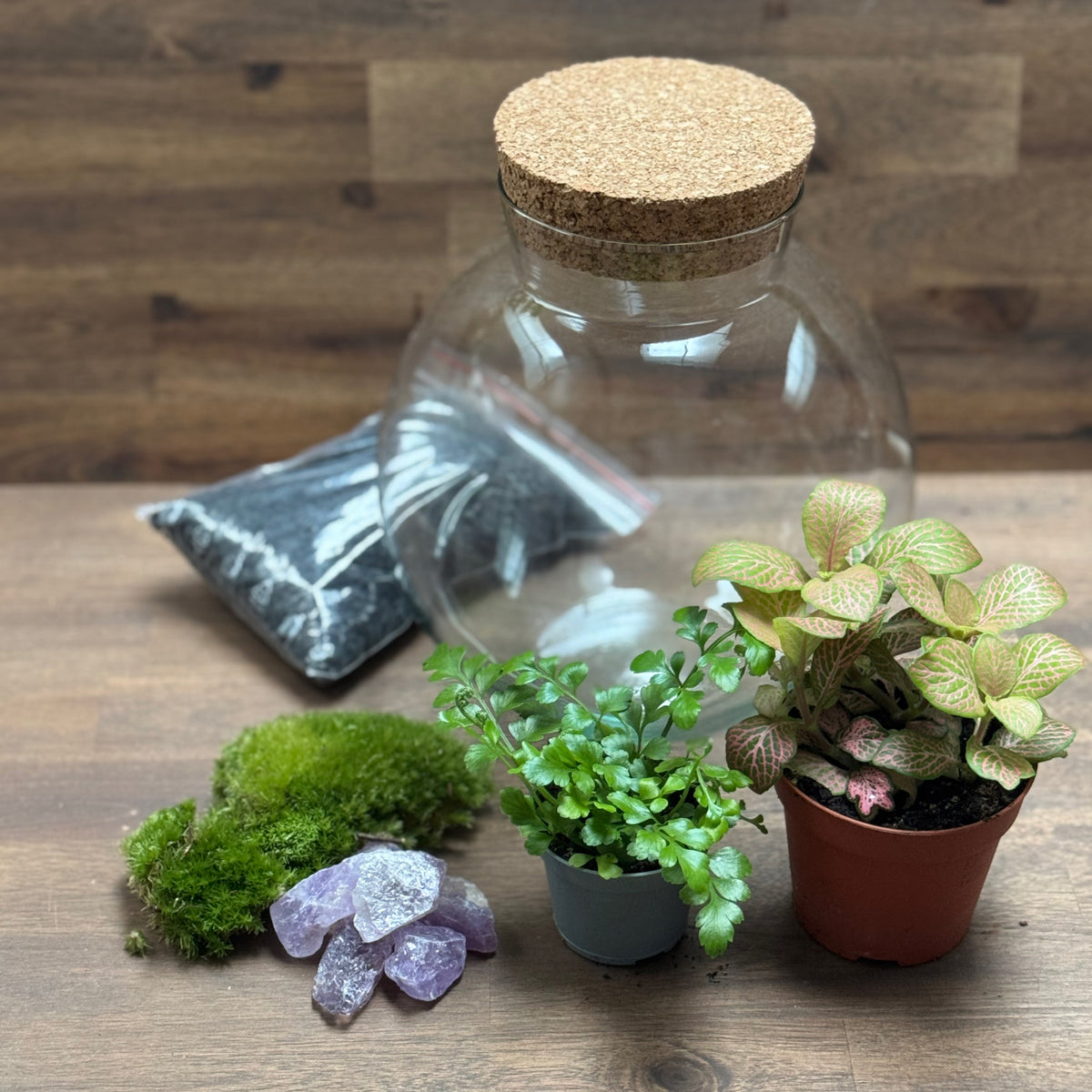 Flaschengarten DIY Set No127 Asplenium x Fittonia x Amethyst