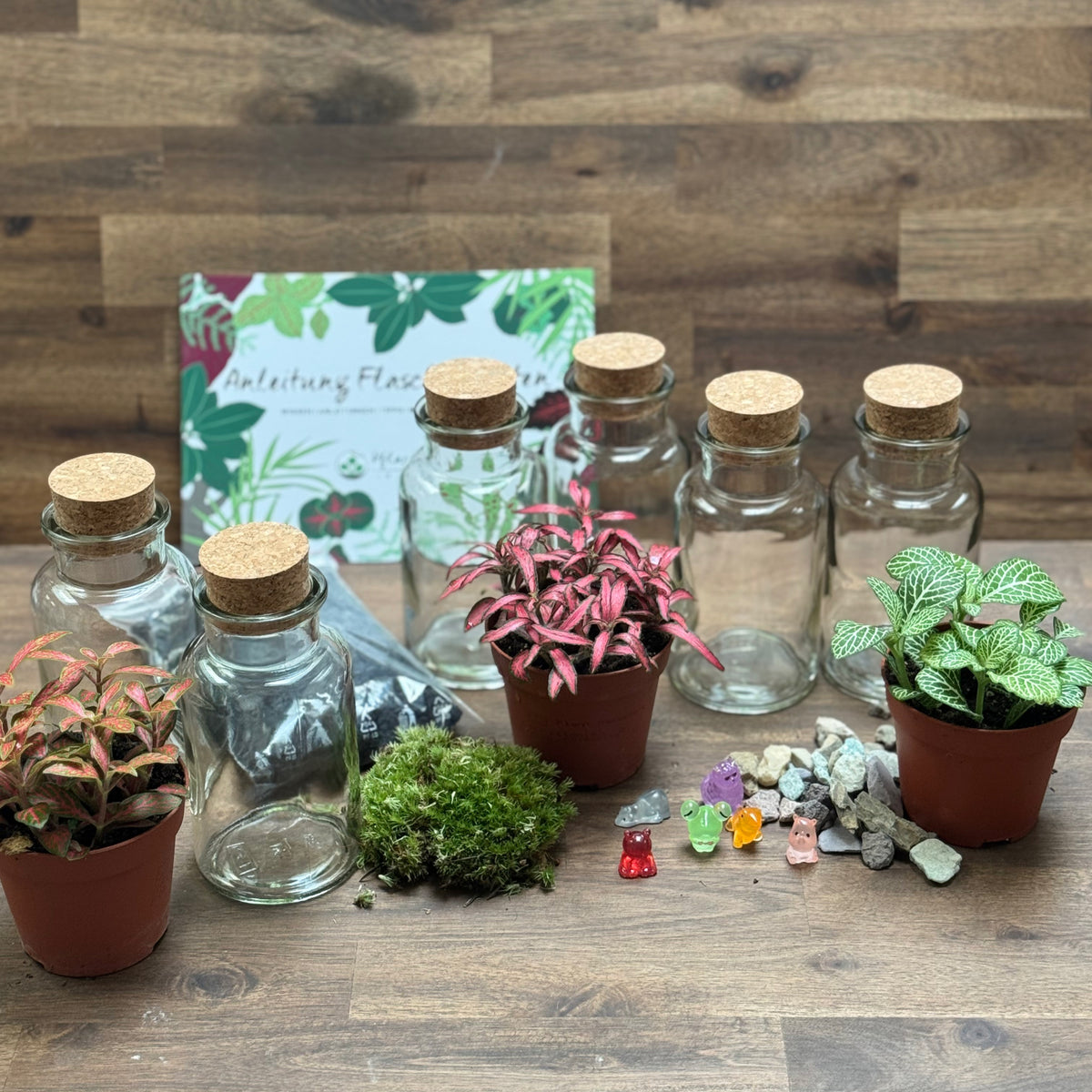 Flaschengarten DIY Set No131 Set