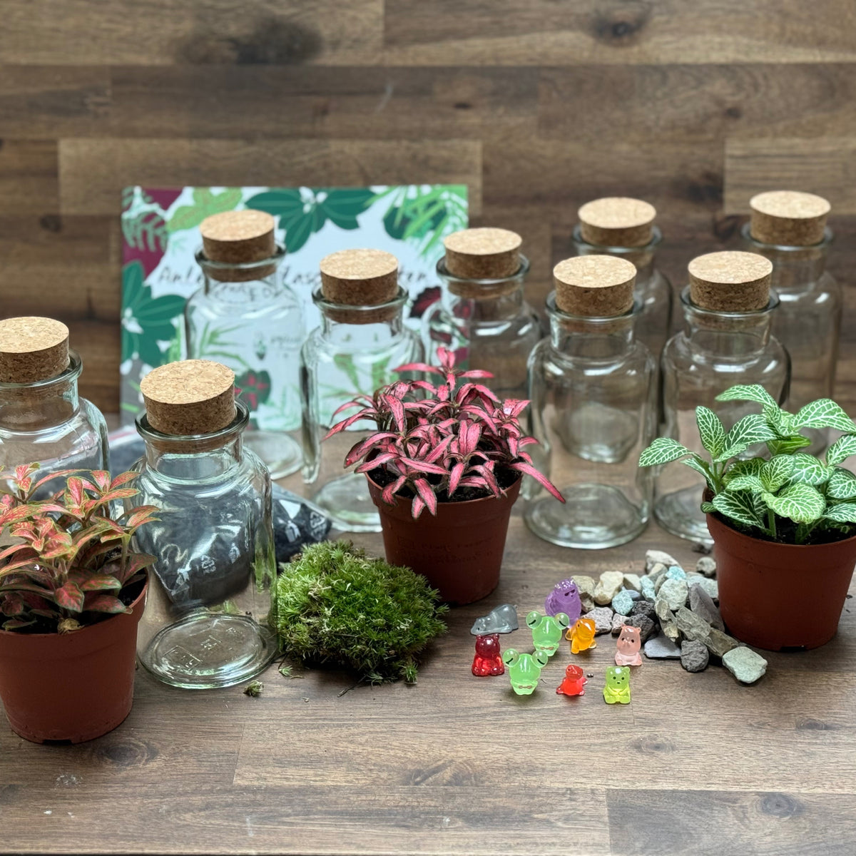 Flaschengarten DIY Set No131 Set