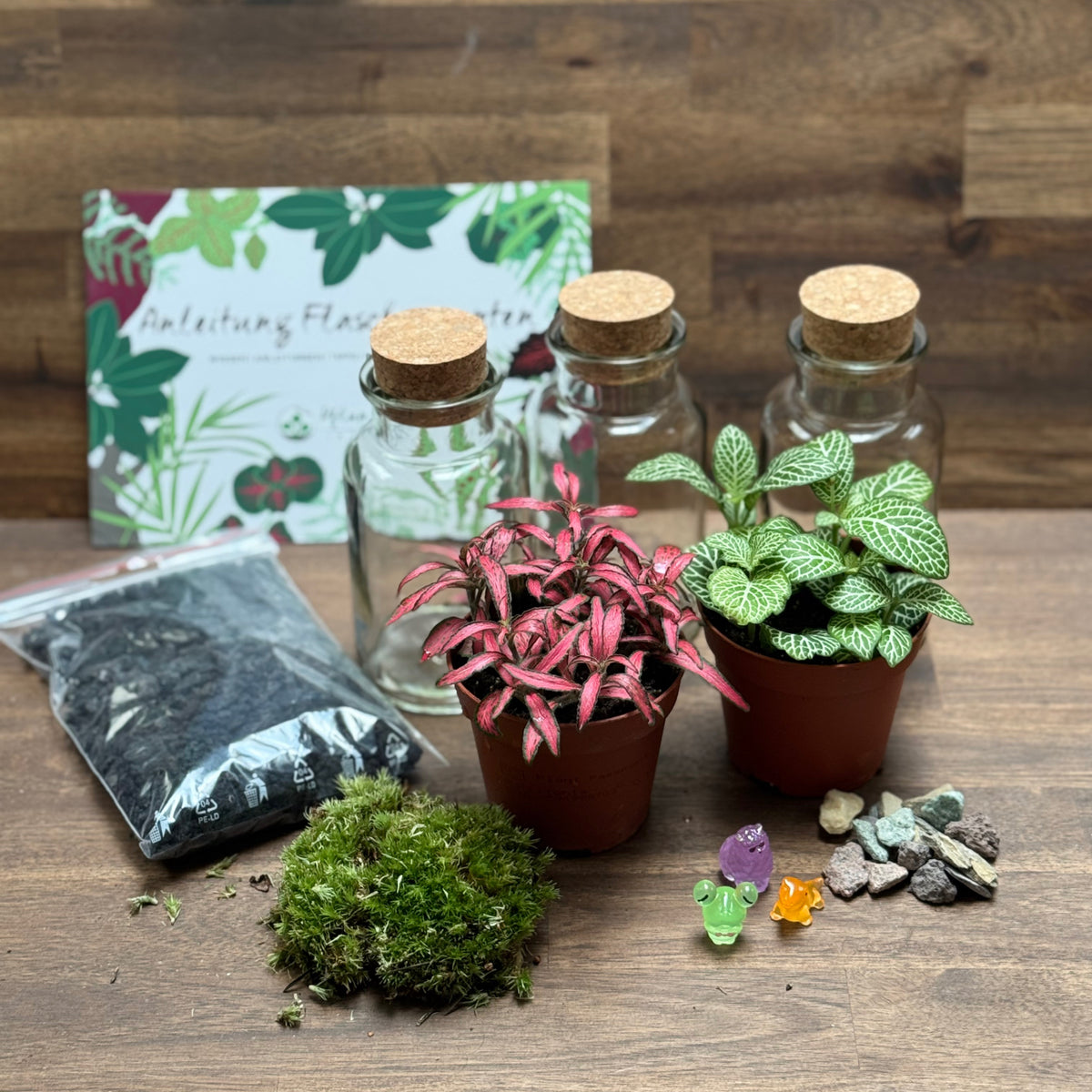 Flaschengarten DIY Set No131 Set