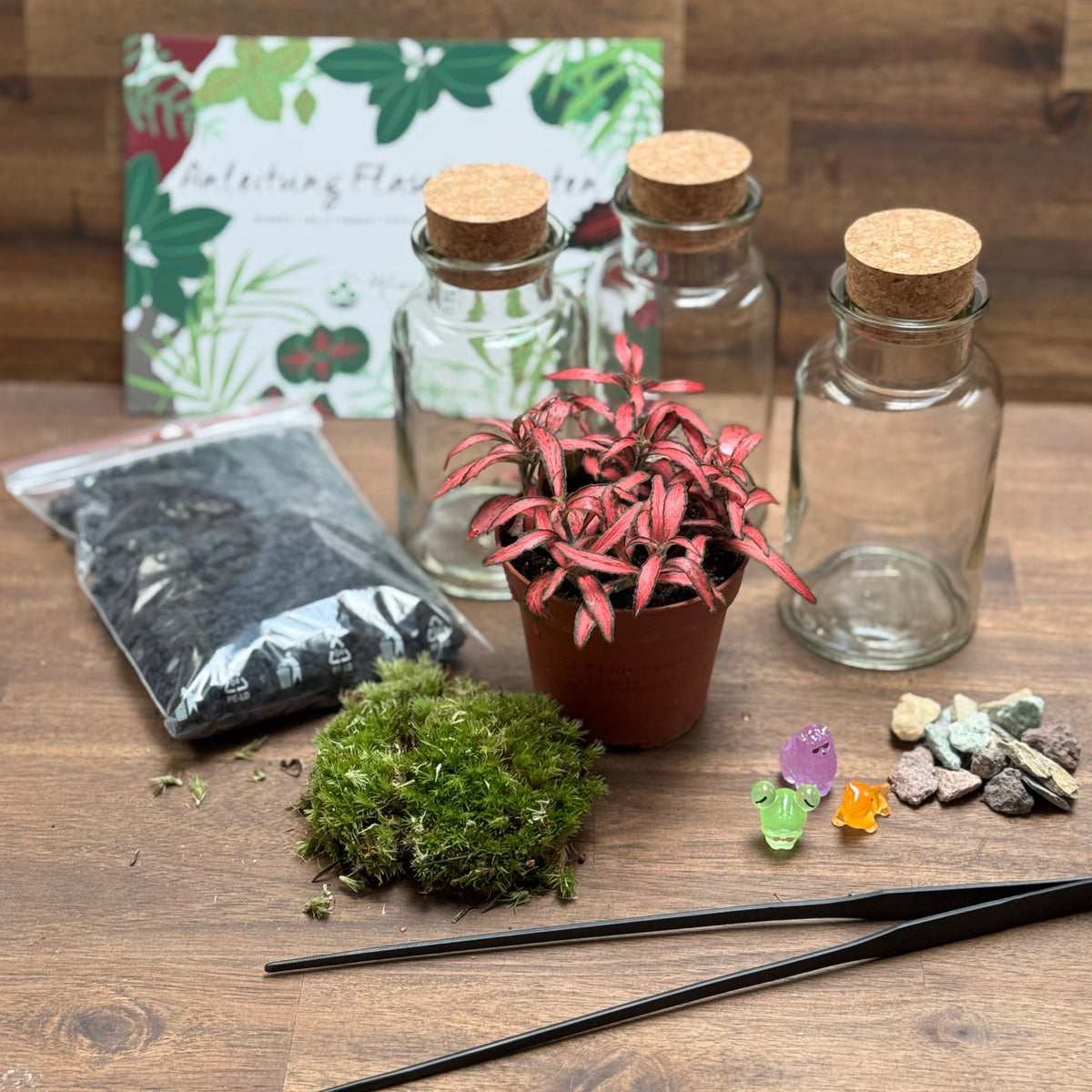 Flaschengarten DIY Set No131 Set