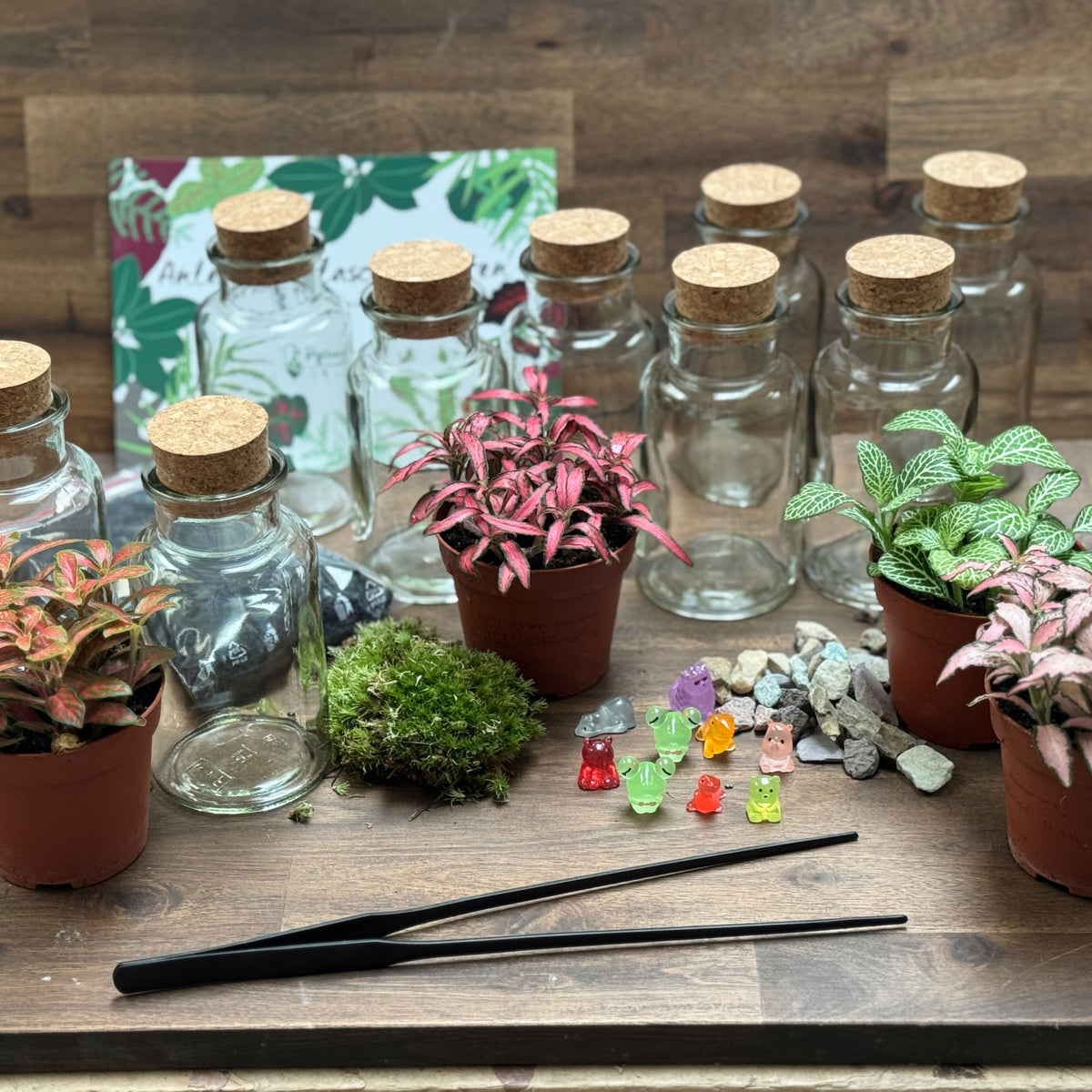 Flaschengarten DIY Set No131 Set