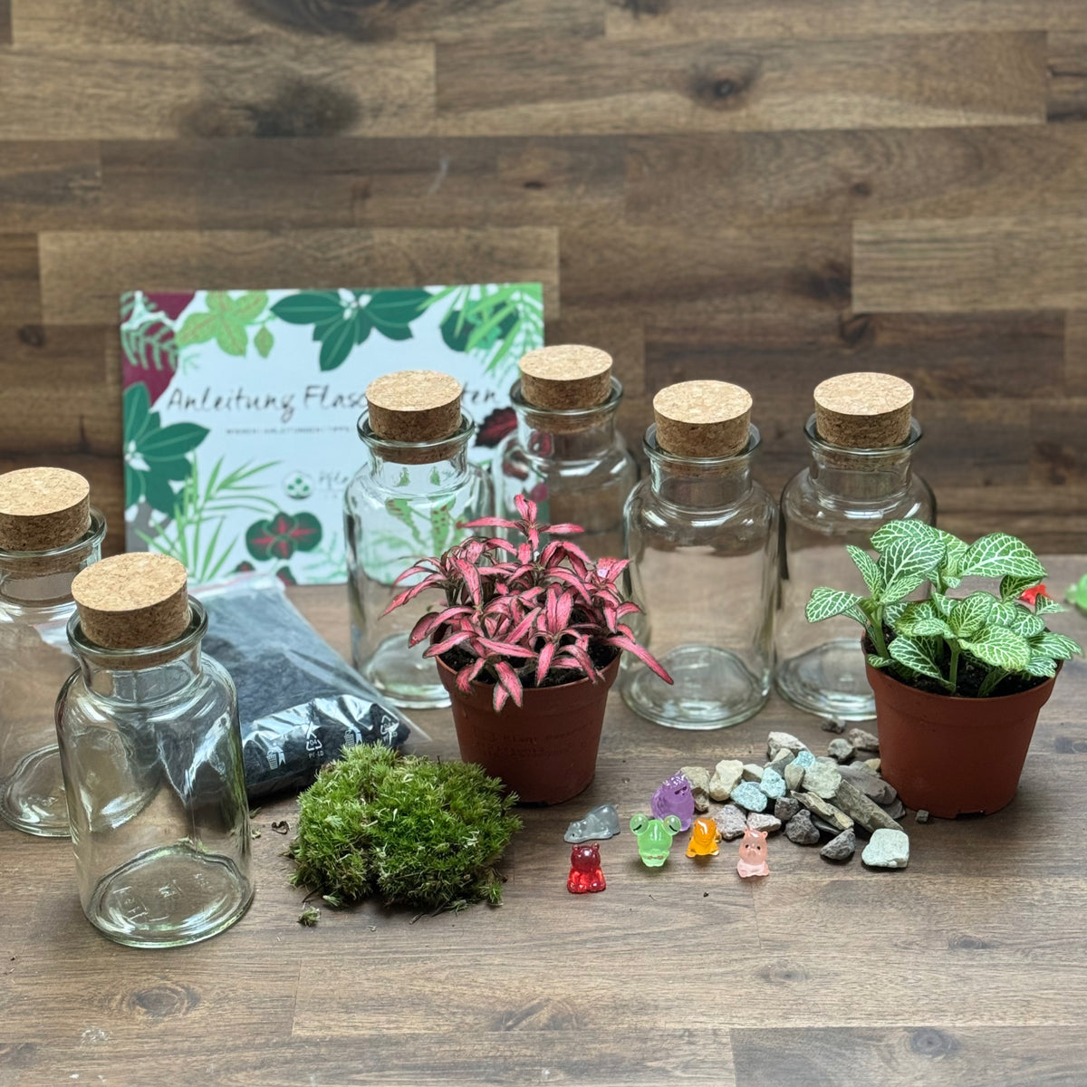 Flaschengarten DIY Set No131 Set