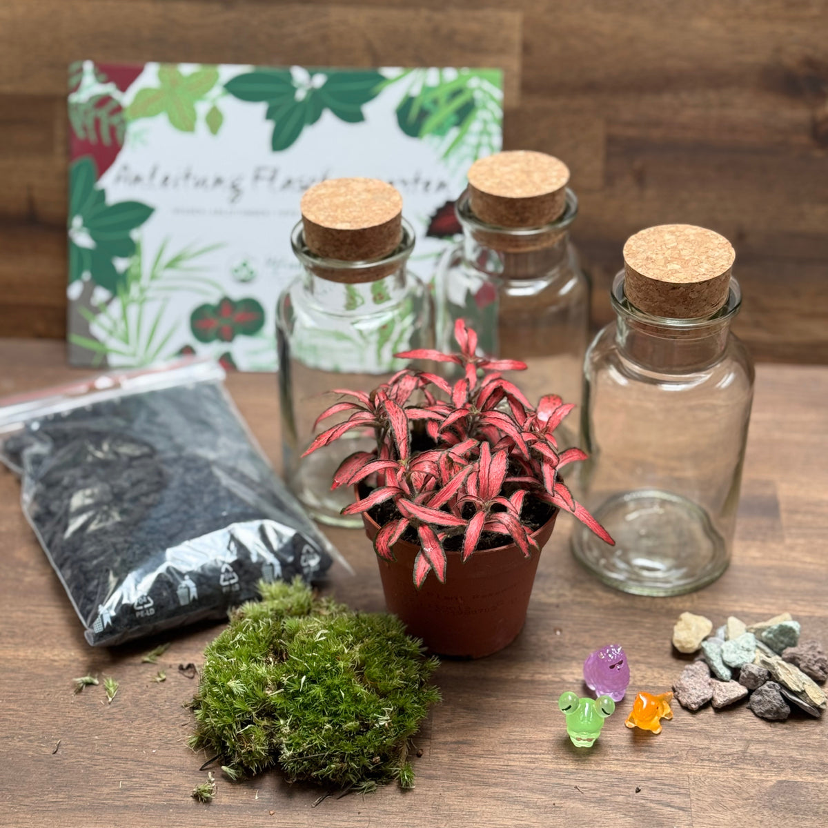 Flaschengarten DIY Set No131 Set