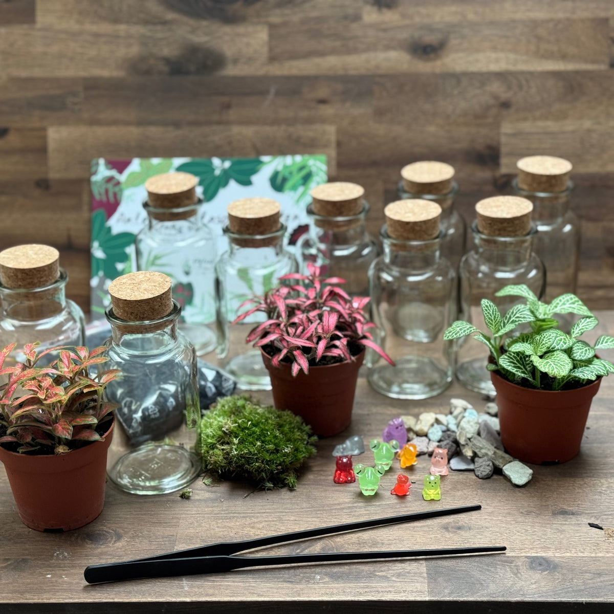 Flaschengarten DIY Set No131 Set