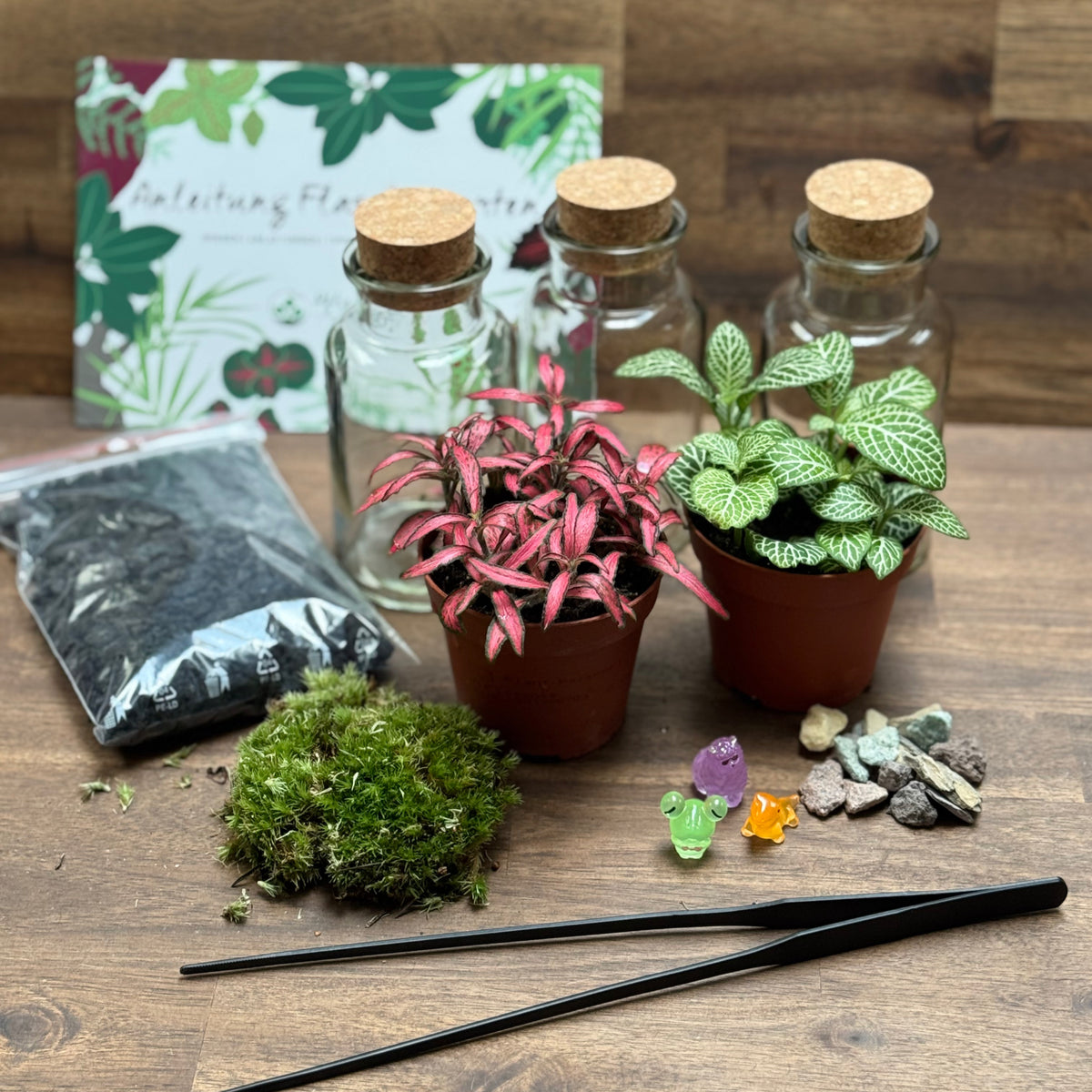 Flaschengarten DIY Set No131 Set
