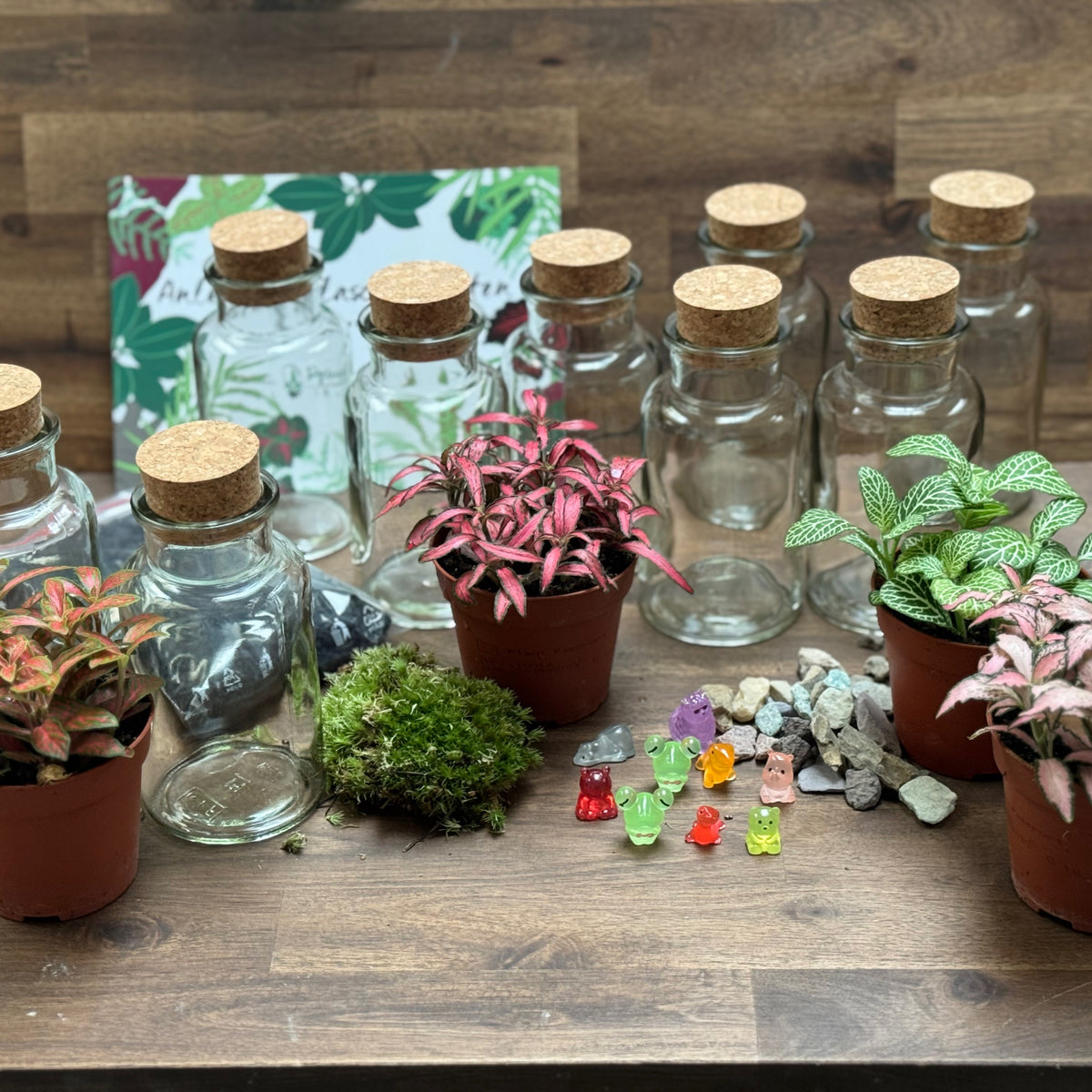 Flaschengarten DIY Set No131 Set