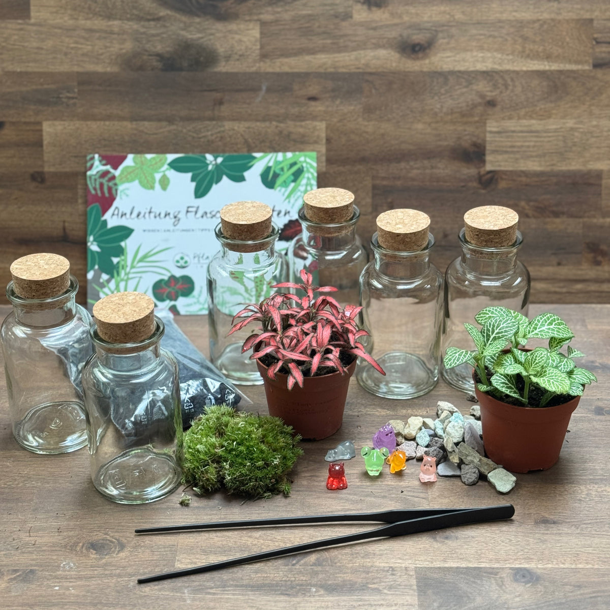 Flaschengarten DIY Set No131 Set