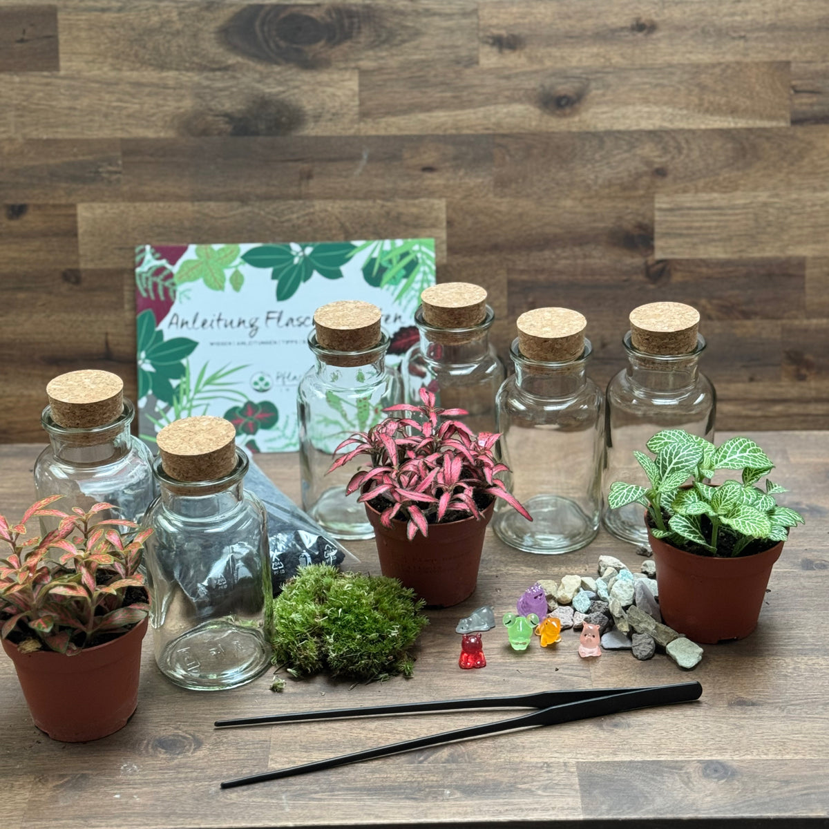Flaschengarten DIY Set No131 Set