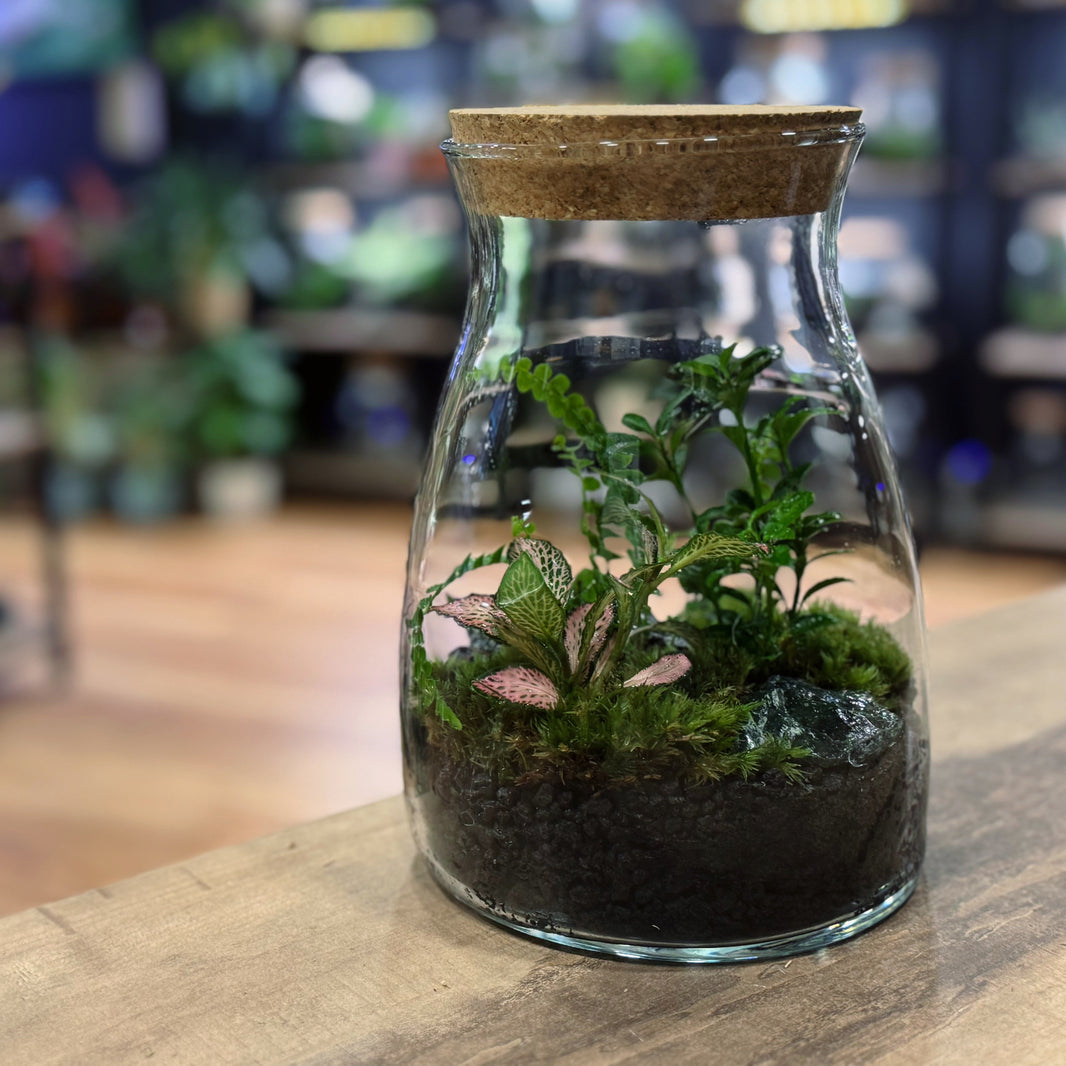 Flaschengarten anlegen – pflanzen-im-glas.de