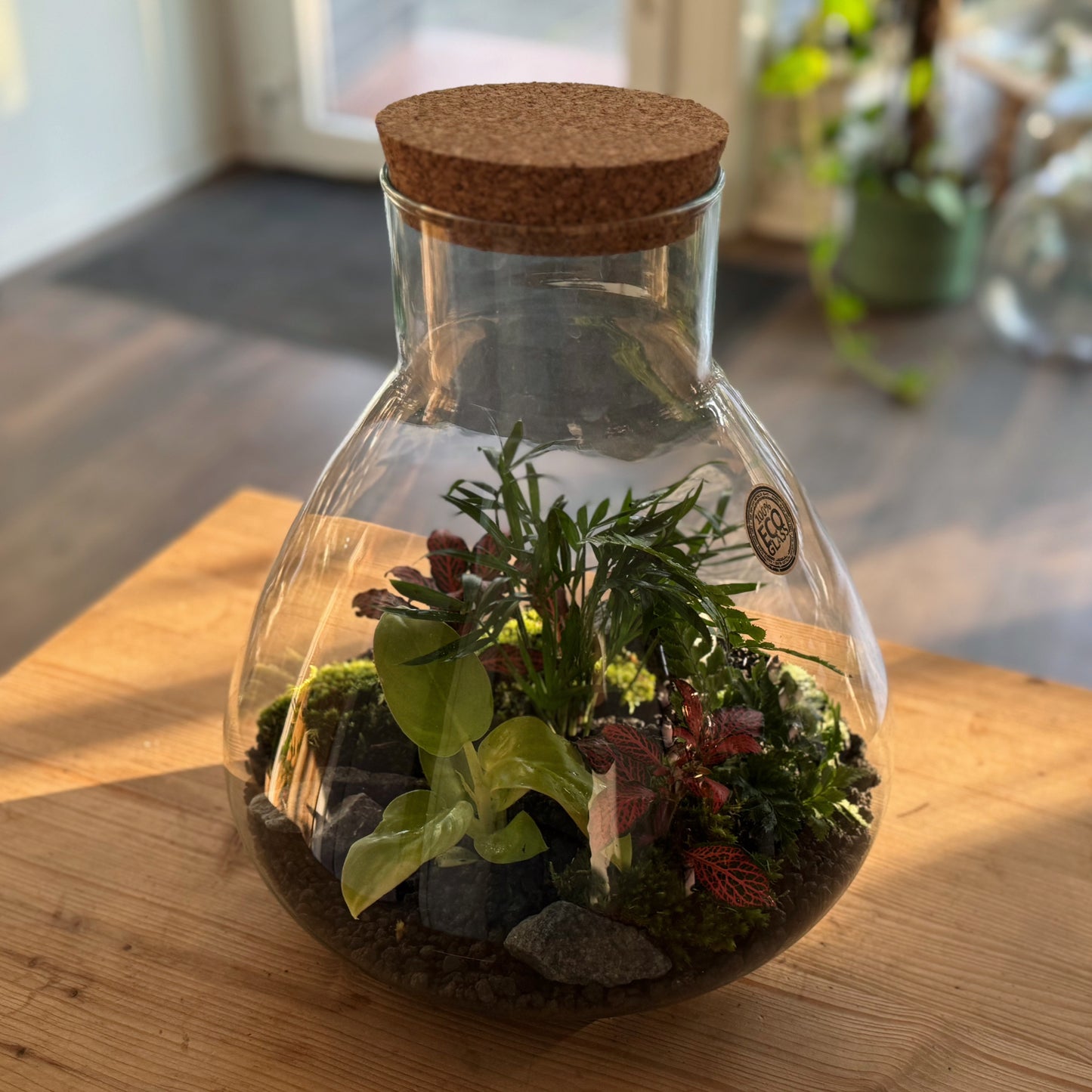 Flaschengarten DIY Set No78 - Philodendron melinonii x Chamaedora elegans  x Arachniodes aristata x Fittonia  'Forest Flame'