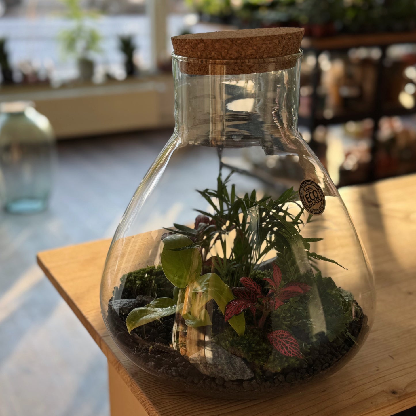 Flaschengarten DIY Set No78 - Philodendron melinonii x Chamaedora elegans  x Arachniodes aristata x Fittonia  'Forest Flame'