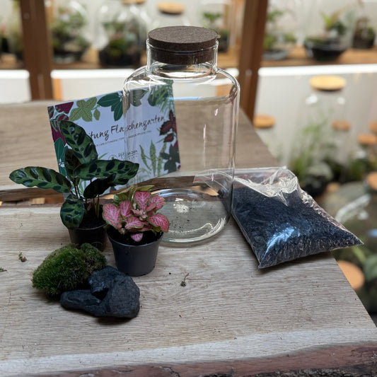 Flaschengarten DIY Set No92 - Calathea lancifolia x Fittonia 'Salmon Ruby Lime'