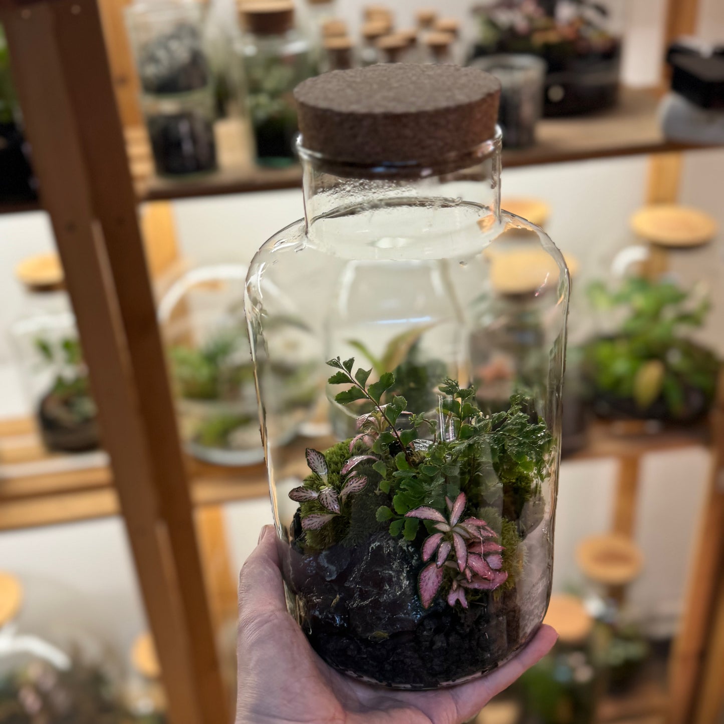 Flaschengarten DIY Set No93 - Didymochlaena truncatula x Fittonia 'Zalm Forest Flame'