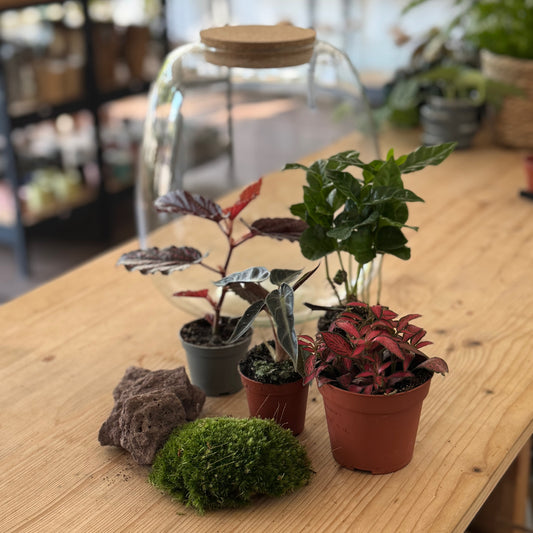 Muttertag Flaschengarten DIY Set 'Pflanzenmuddi'