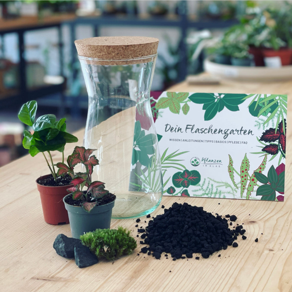 Flaschengarten ‚Mini Coffea‘-DIY-Set