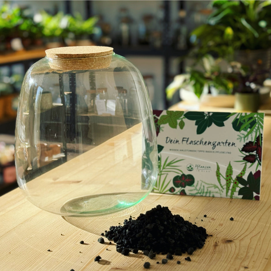 Flaschengarten anlegen – pflanzen-im-glas.de
