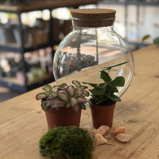 Muttertag Flaschengarten DIY Set 'Aufmerksamkeit'