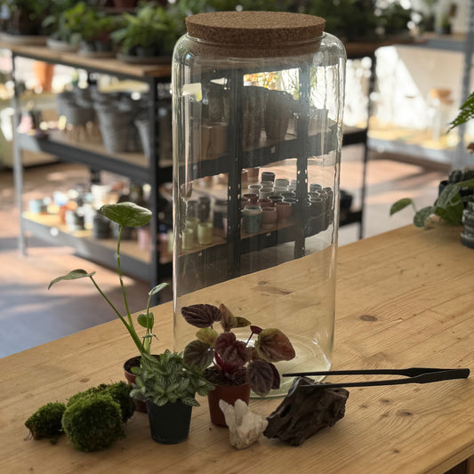 Muttertag Flaschengarten DIY Set 'Schlechtes Gewissen'