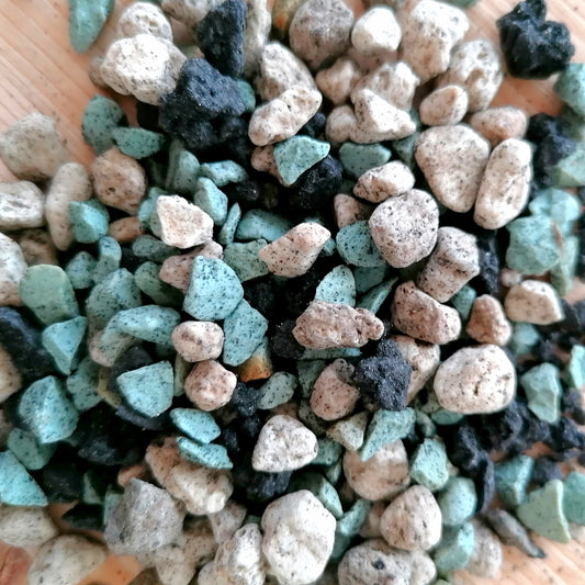 Alokasien Substrat | mineralisch | 250g